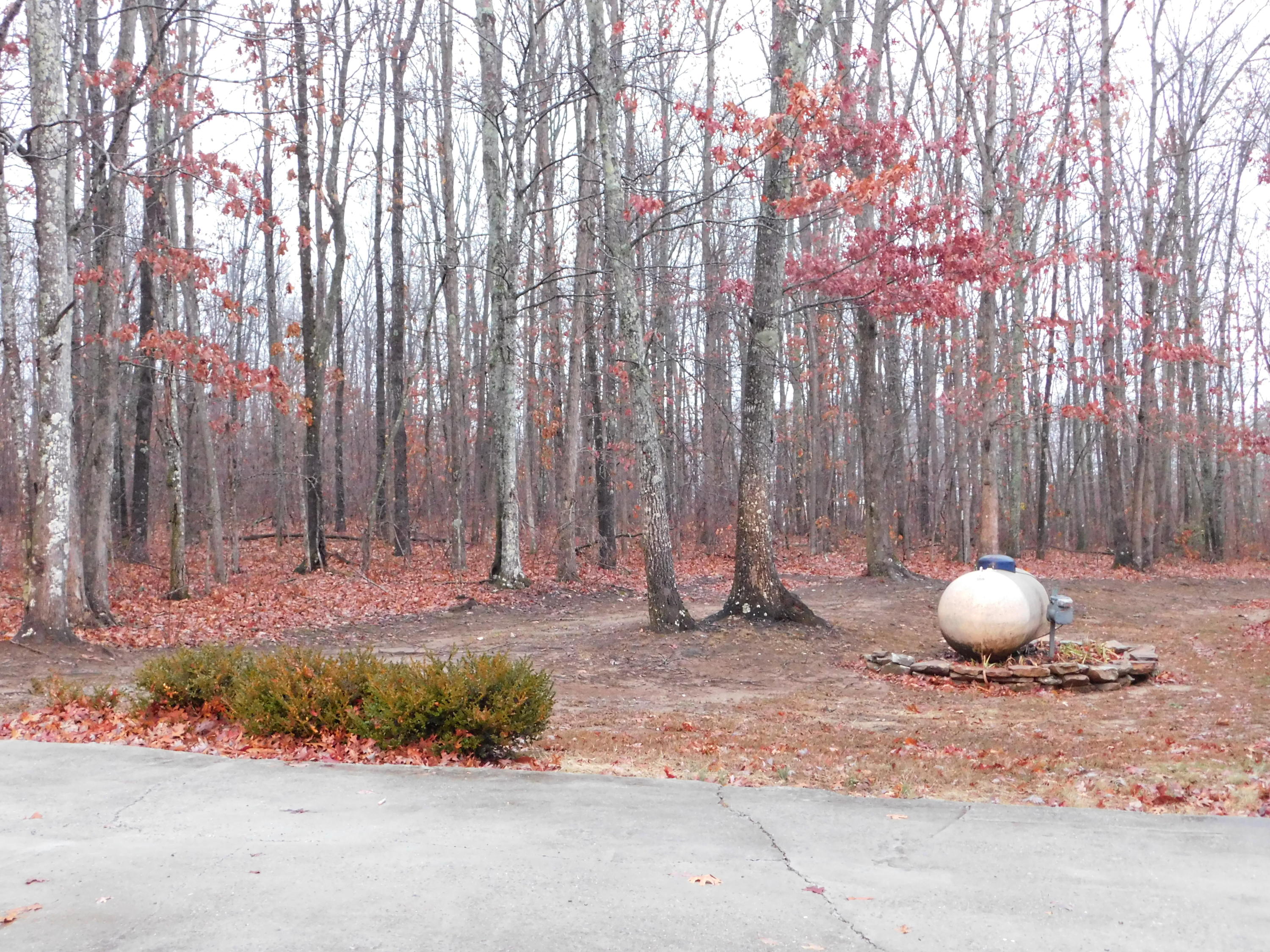1151 Kerley Road Spring City, TN 37381 - Photo 45 of 50 DSCN2803