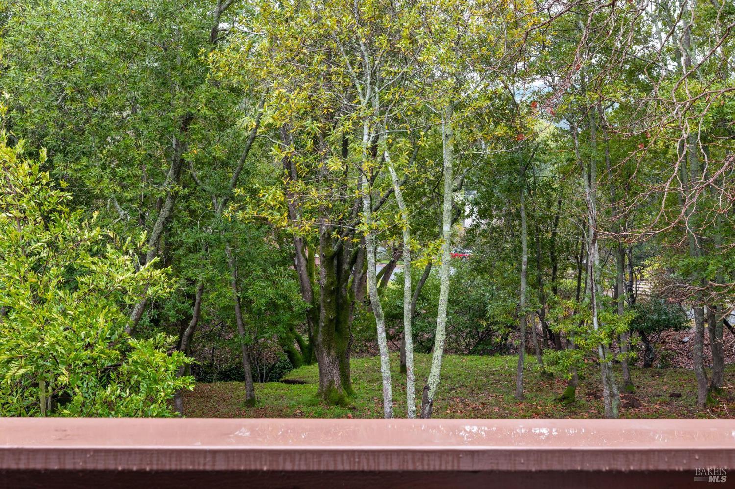 4 Hummingbird Way Novato, CA 94949 - Photo 36 of 43