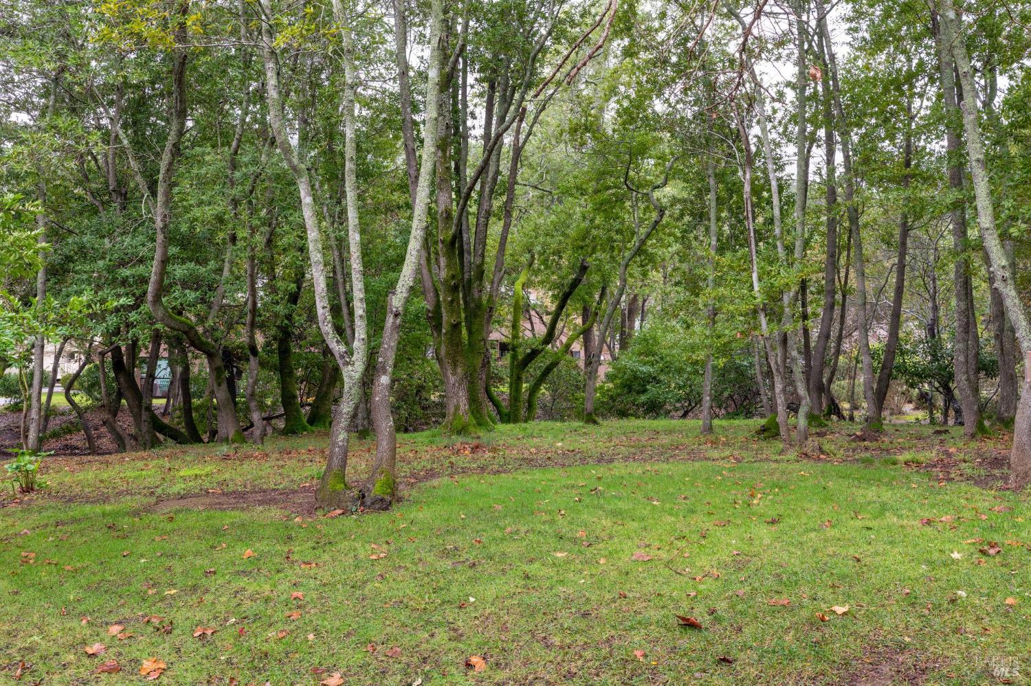 4 Hummingbird Way Novato, CA 94949 - Photo 41 of 43