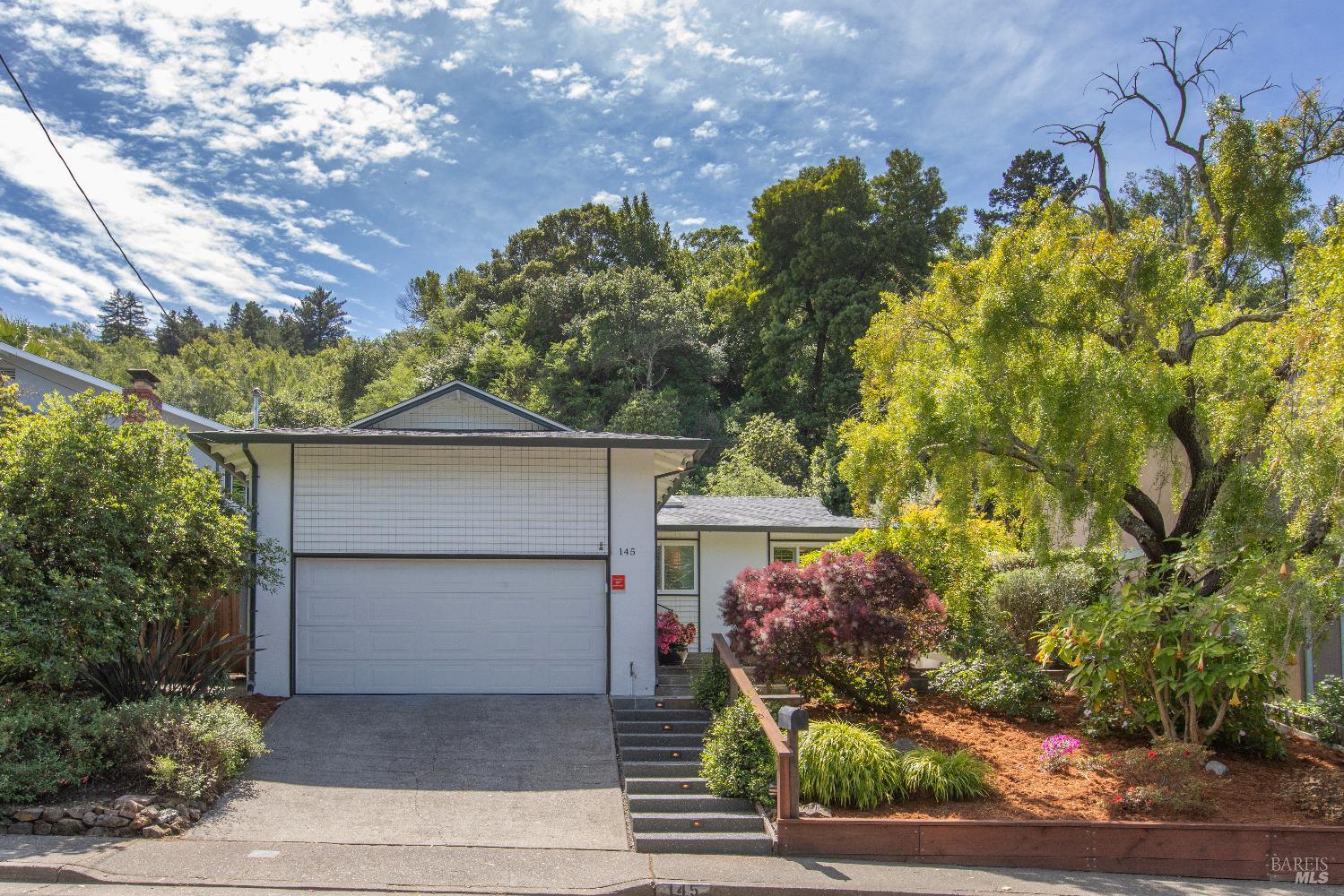 145 Irwin Street San Rafael, CA 94901 - Photo 2 of 48