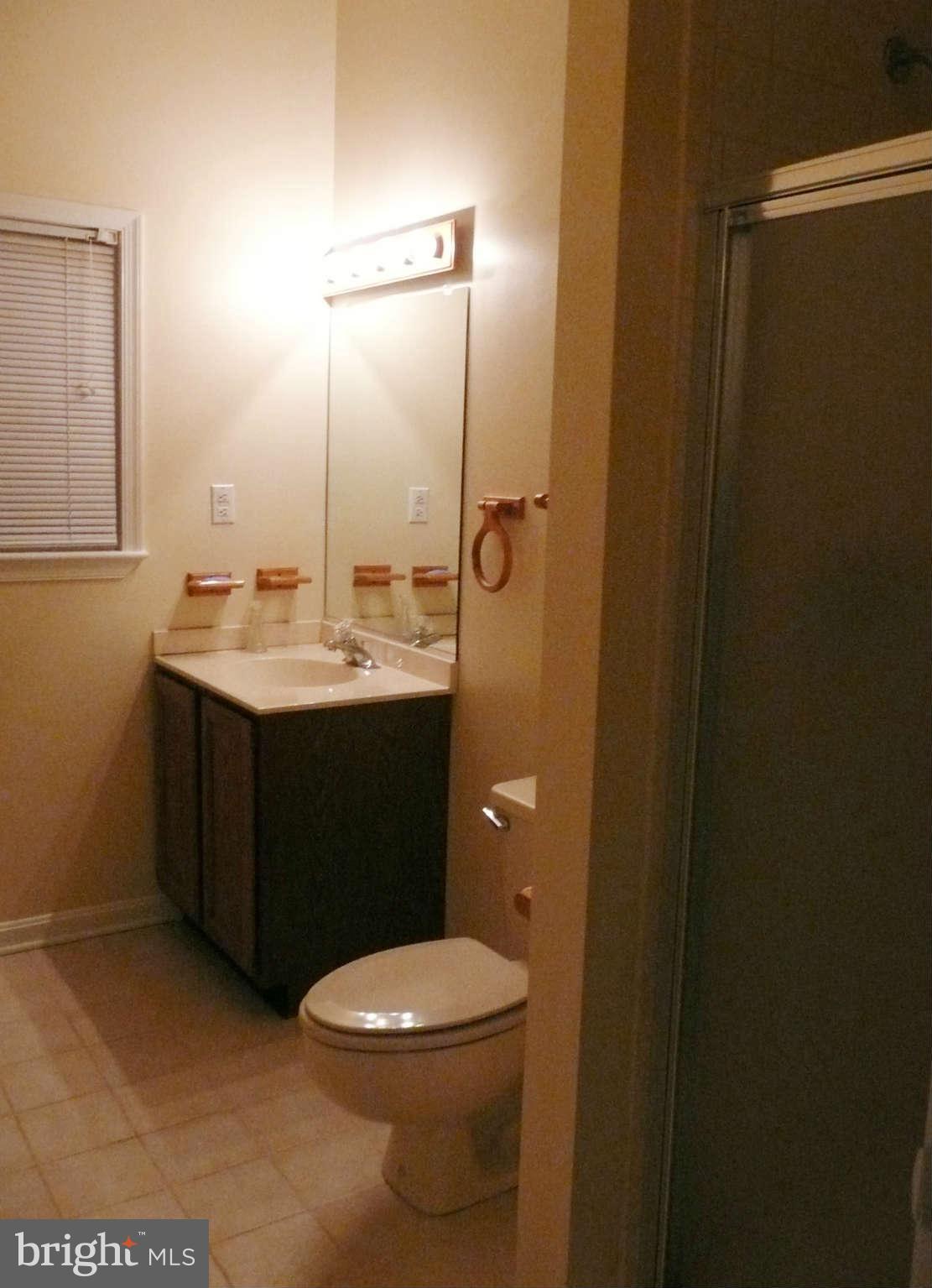 5426 Enid Place Alexandria, VA 22312 - Photo 15 of 16 Bath (Master)