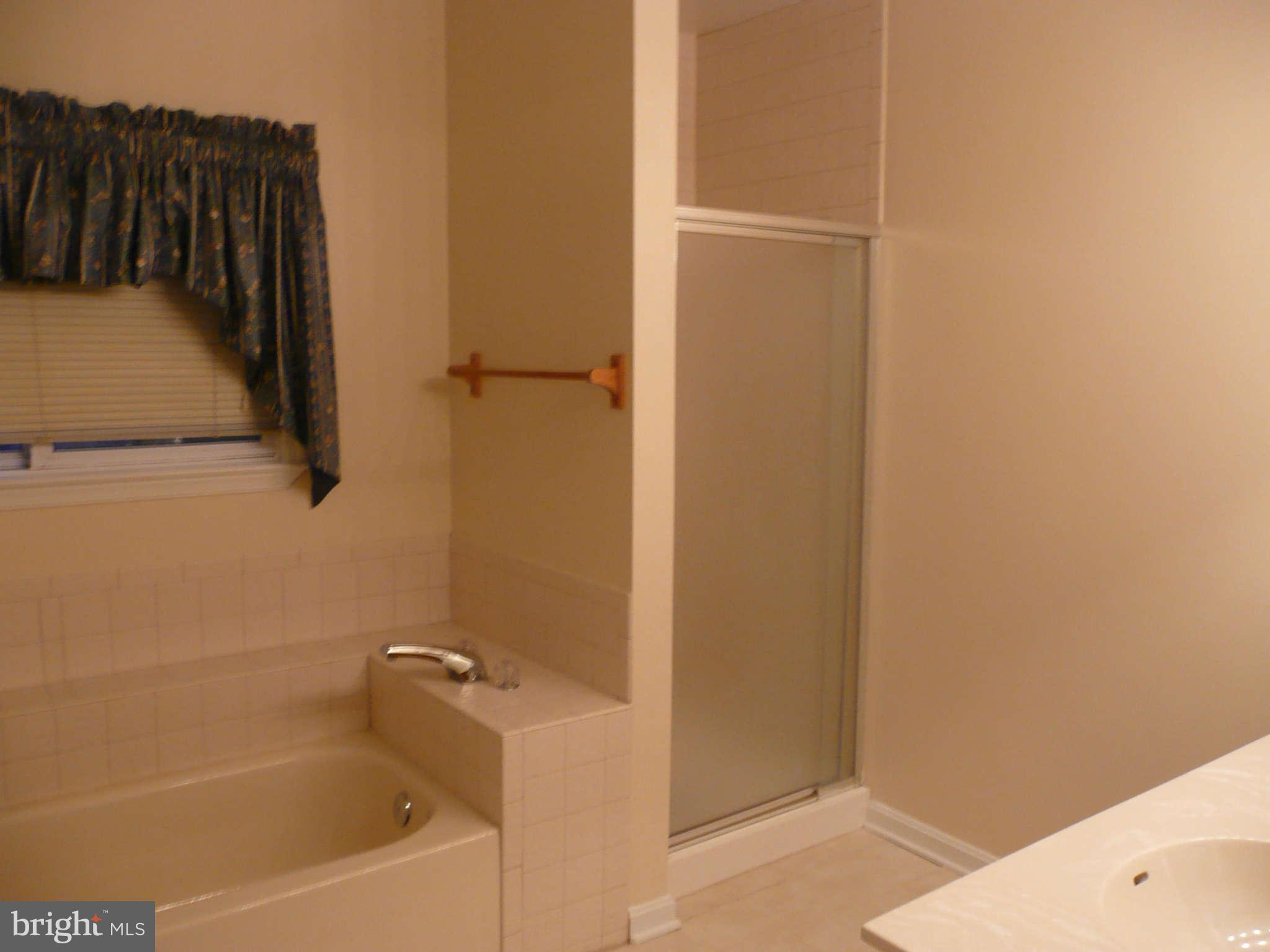 5426 Enid Place Alexandria, VA 22312 - Photo 10 of 16 Bath (Master)