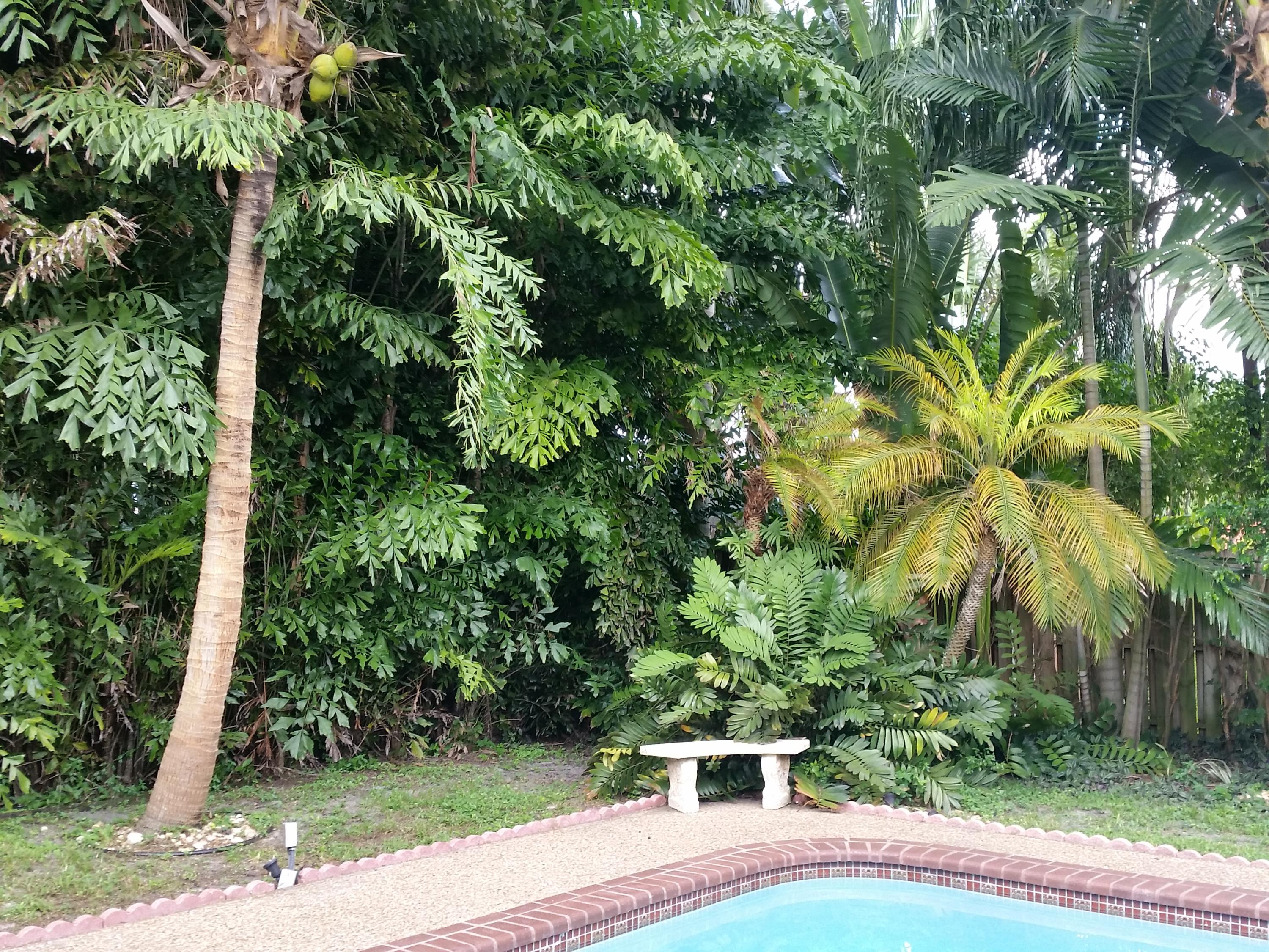 1550 Southwest 8th Street Boca Raton, FL 33486 - Photo 32 of 32 Backyard 2