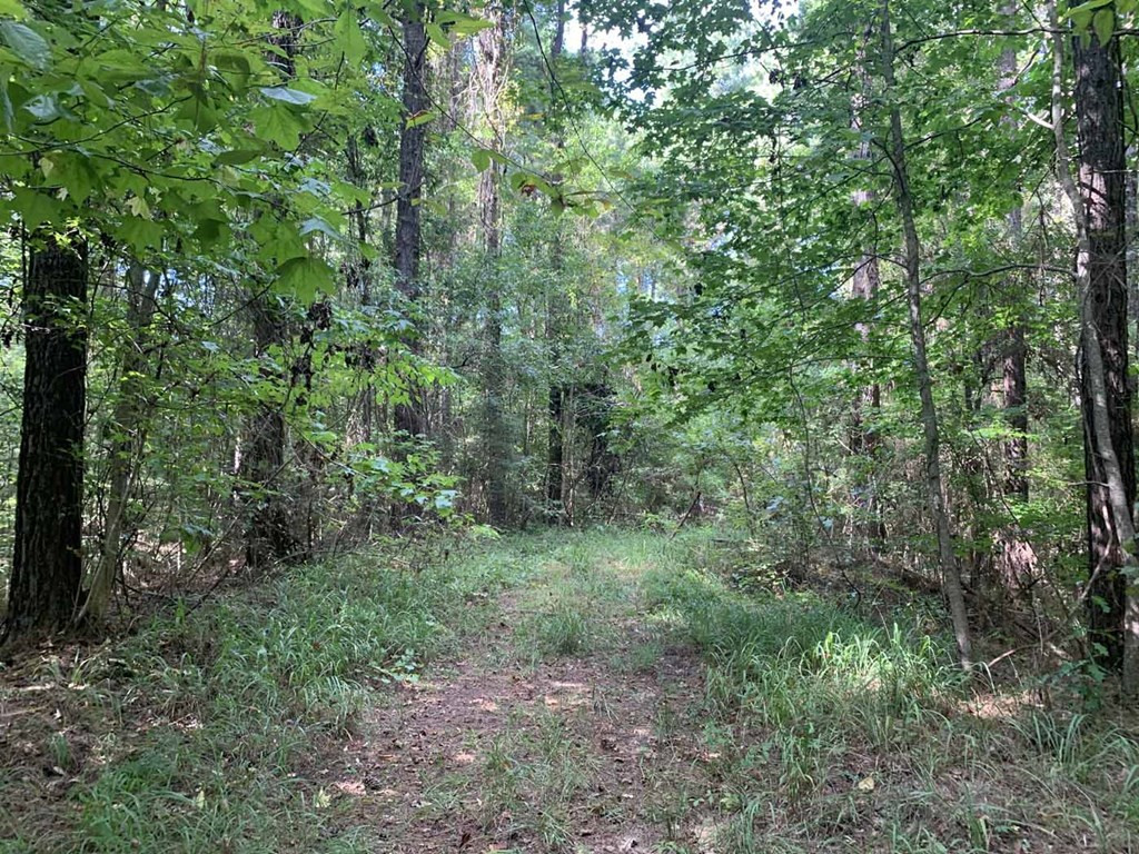 0 Garden City Road Roxie, MS 39661 - Photo 41 of 45 Photo 41