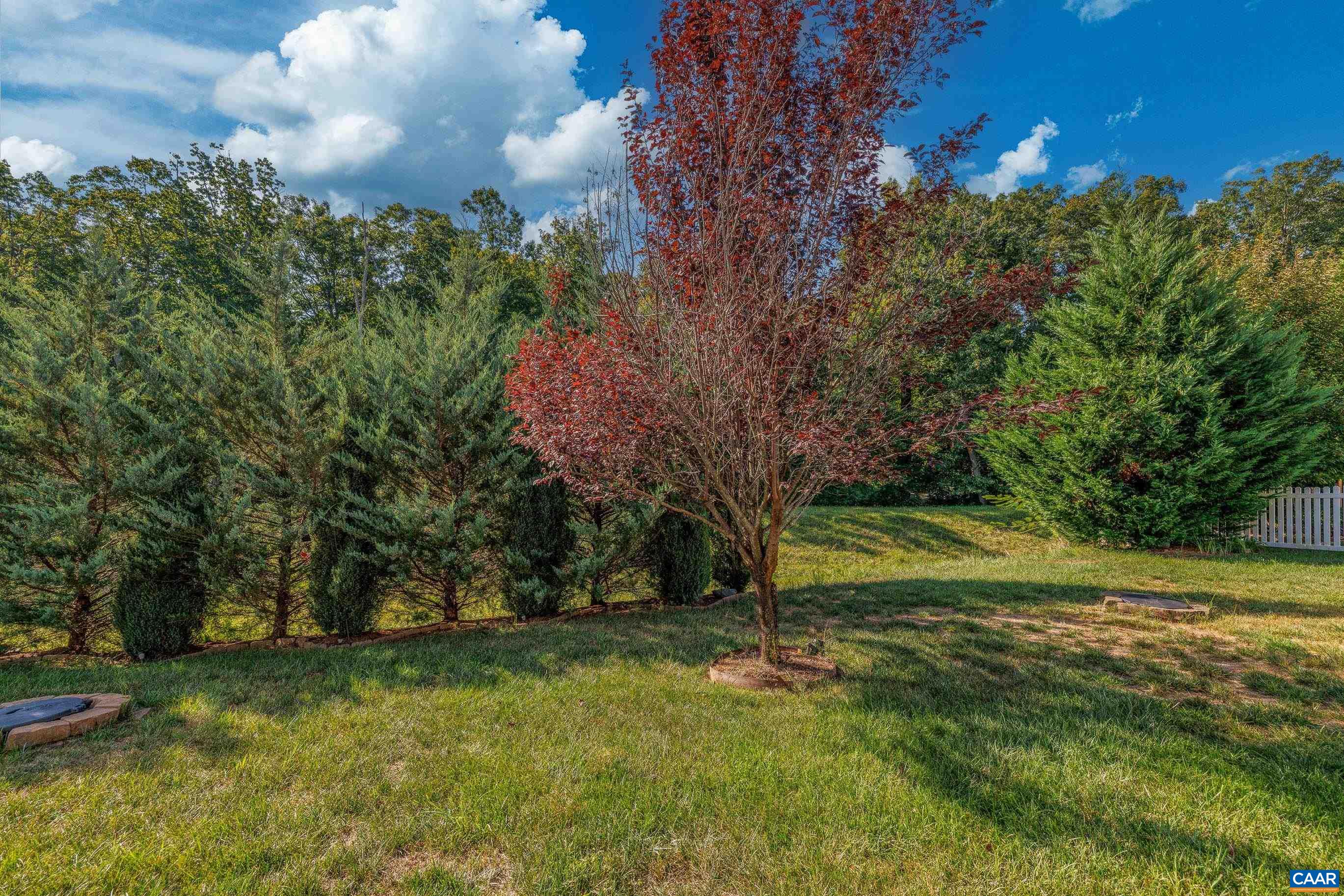 72 Spruce Drive Palmyra, VA 22963 - Photo 5 of 42 a view of a field