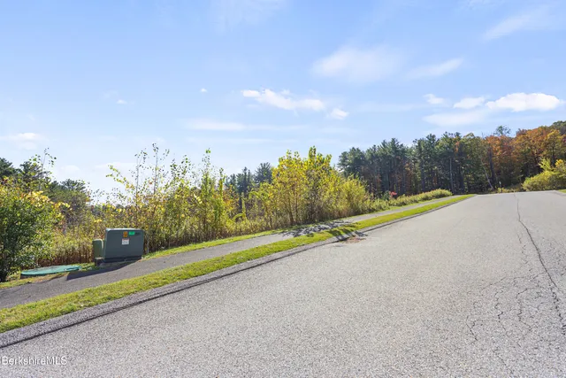 a view of a road with plants and a large trees
