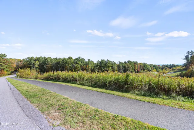 a view of a lake with a city