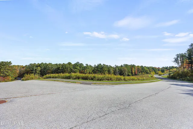 an aerial view of a yard with a tree