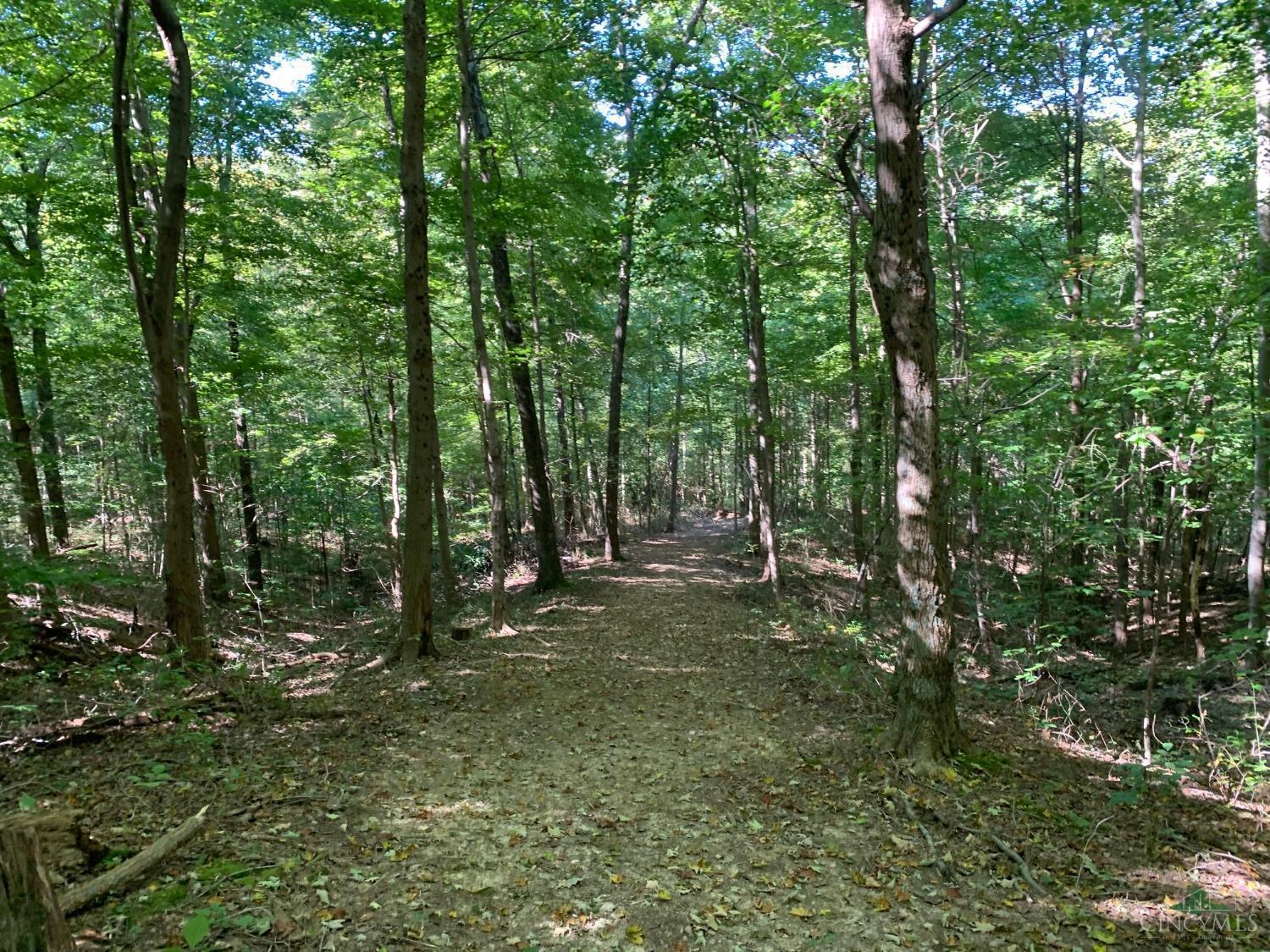 0 Green Ridge Road Peebles, OH 45660 - Photo 24 of 34 Gallery Image 24