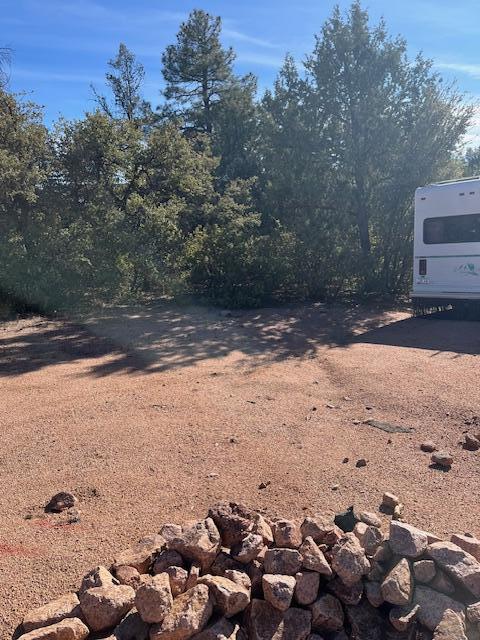 Lot 8 South Forest Ridge Court Tonto Basin, AZ 85553 - Photo 3 of 3