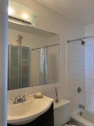 a bathroom with a sink and a toilet