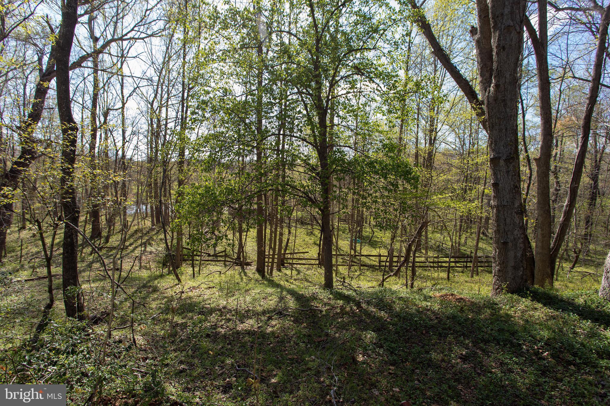 6785 Valley Road La Plata, MD 20646 - Photo 32 of 38 Gallery Image 32