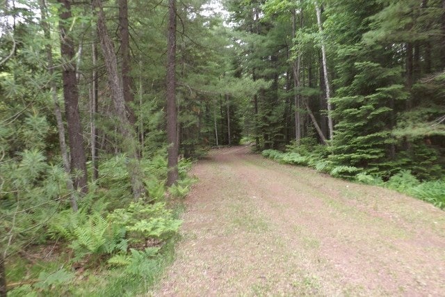 2 Club Road St. Helen, MI 48656 - Photo 8 of 18 Gallery Image 8