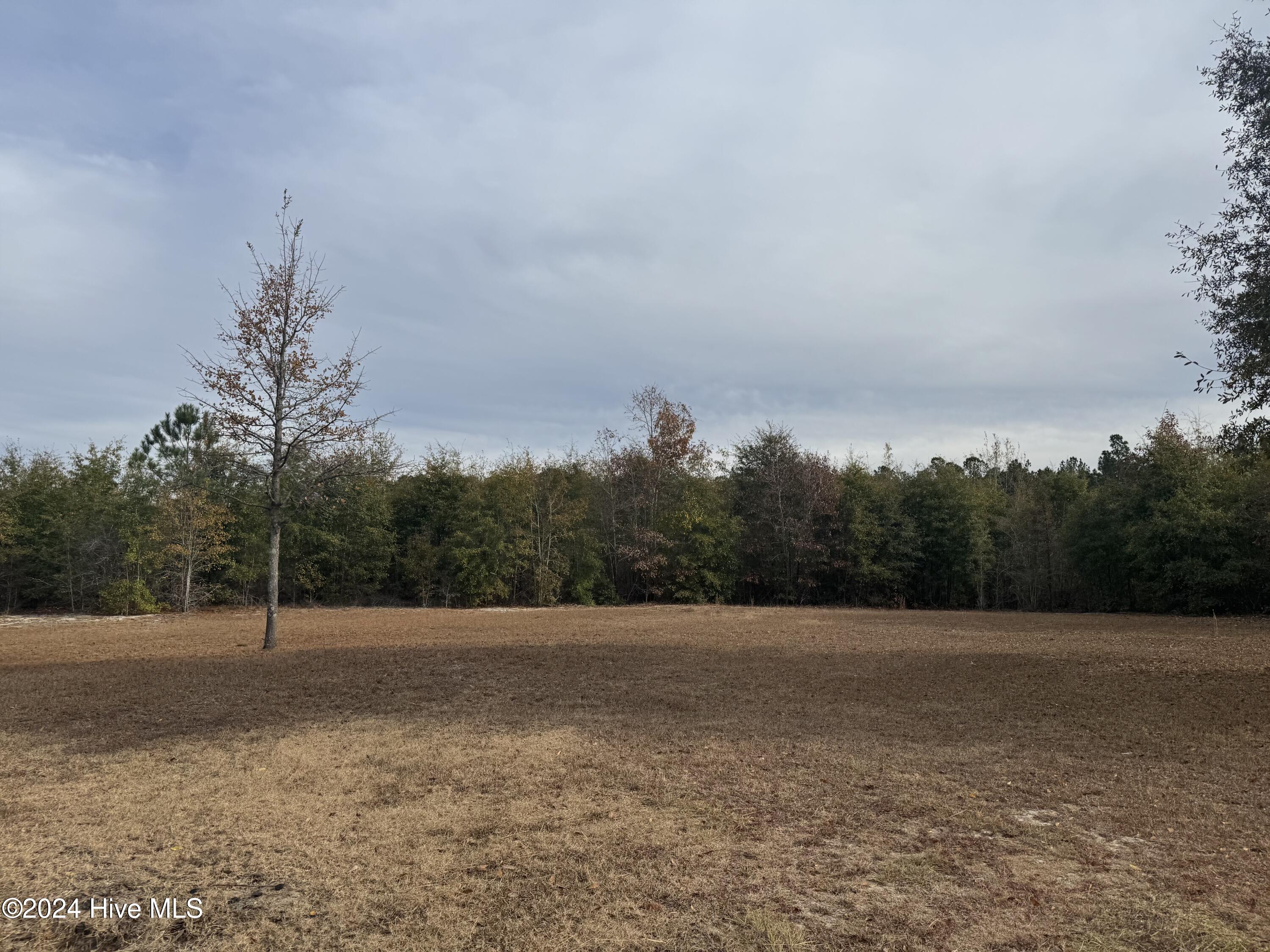 841 McKoy Loop Road Ivanhoe, NC 28447 - Photo 4 of 18 IMG_7681