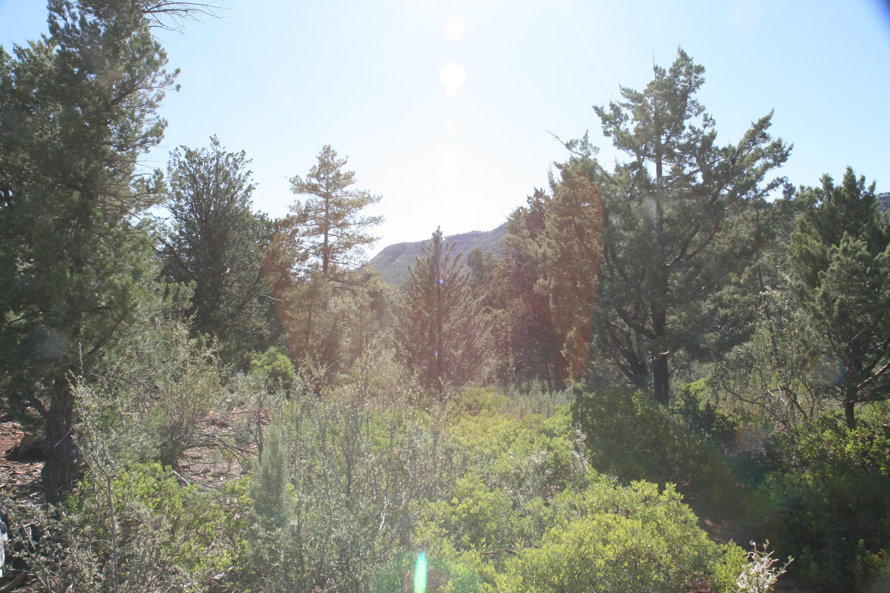 8 North H N Valley View Rd Pine Pine, AZ 85544 - Photo 9 of 9