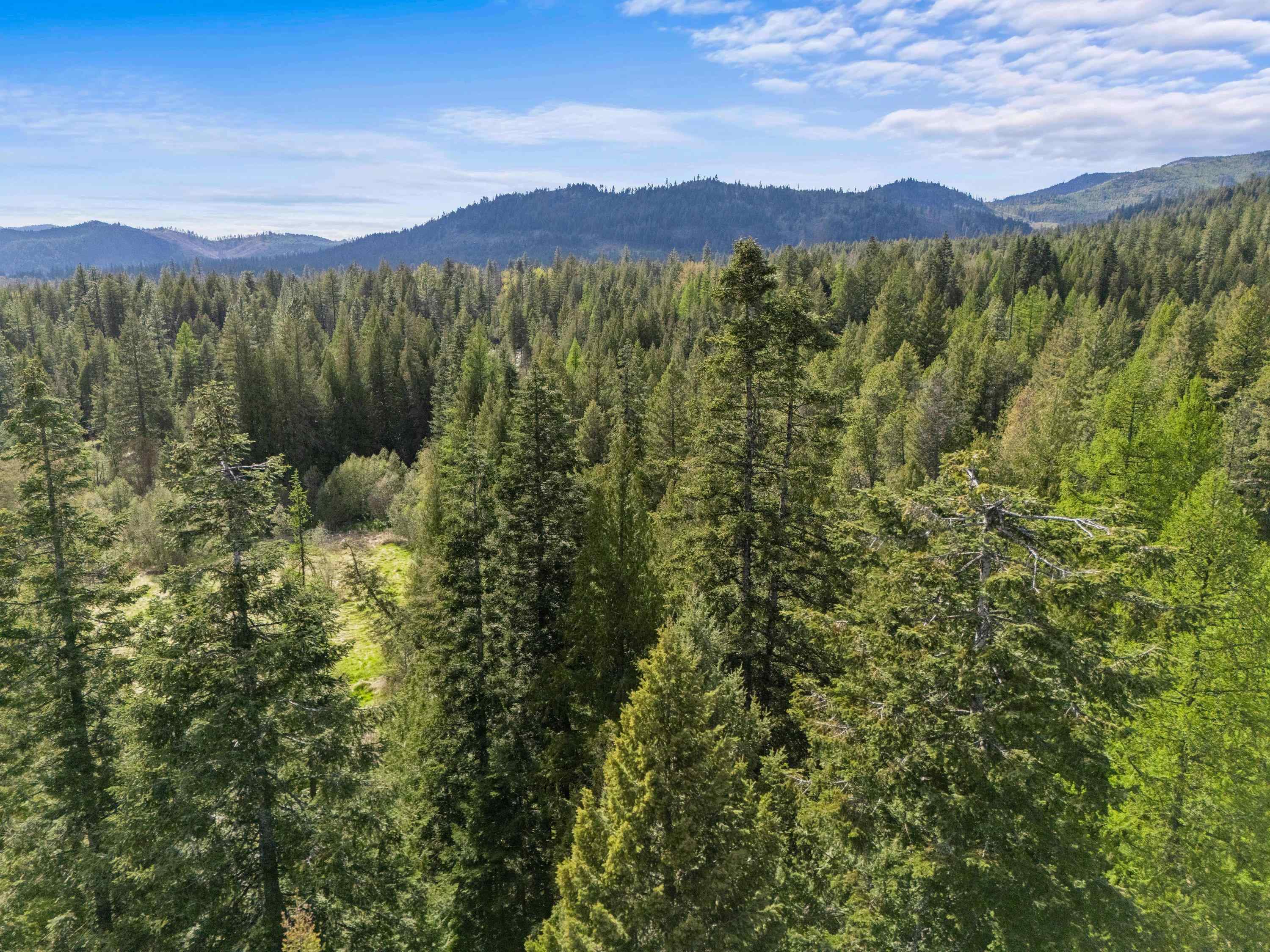 242 Quartz Road Newport, WA 99156 - Photo 11 of 37 Gallery Image 11