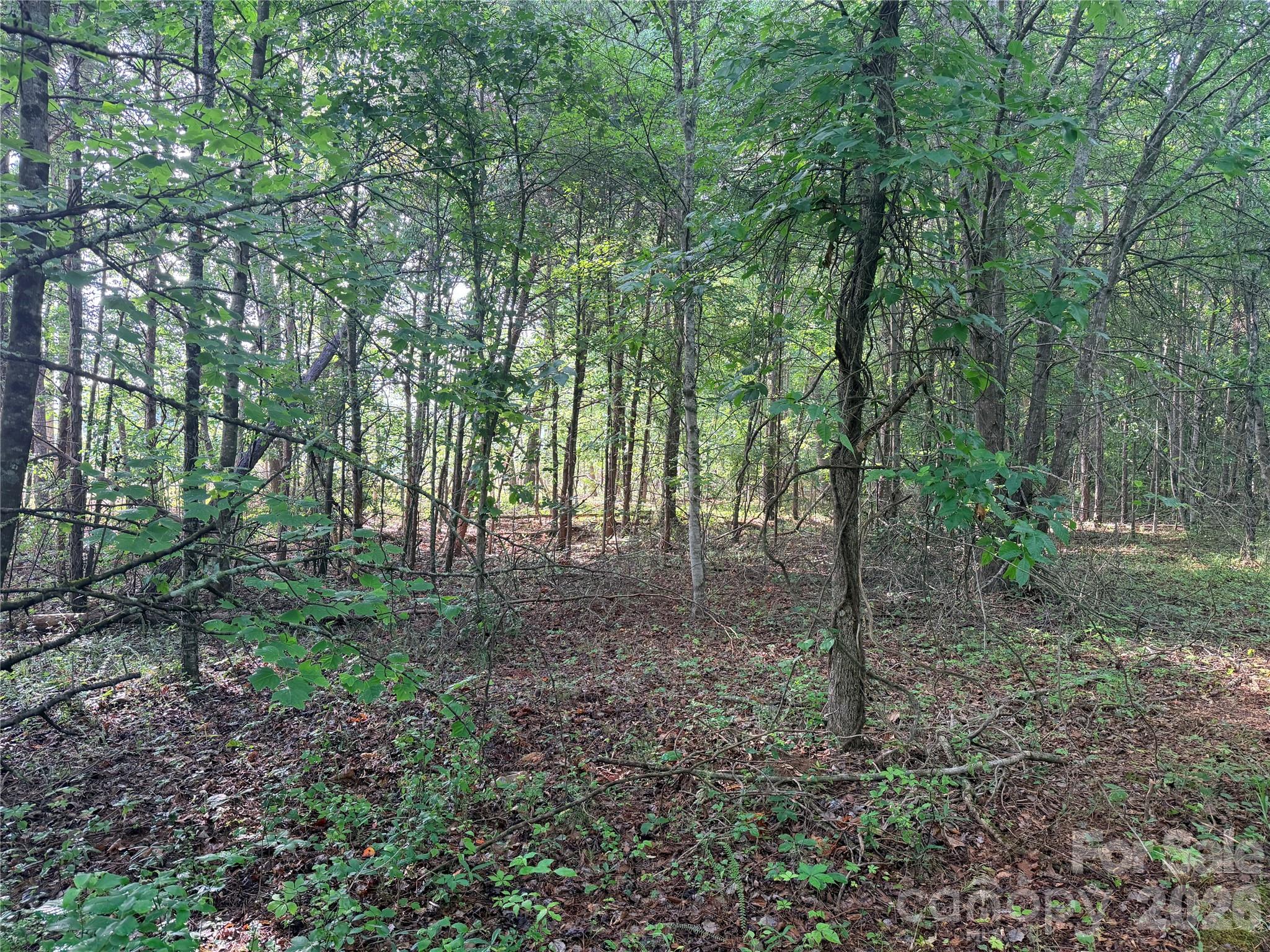 Lot 1 Schenck Farm Road Lawndale, NC 28090 - Photo 9 of 11