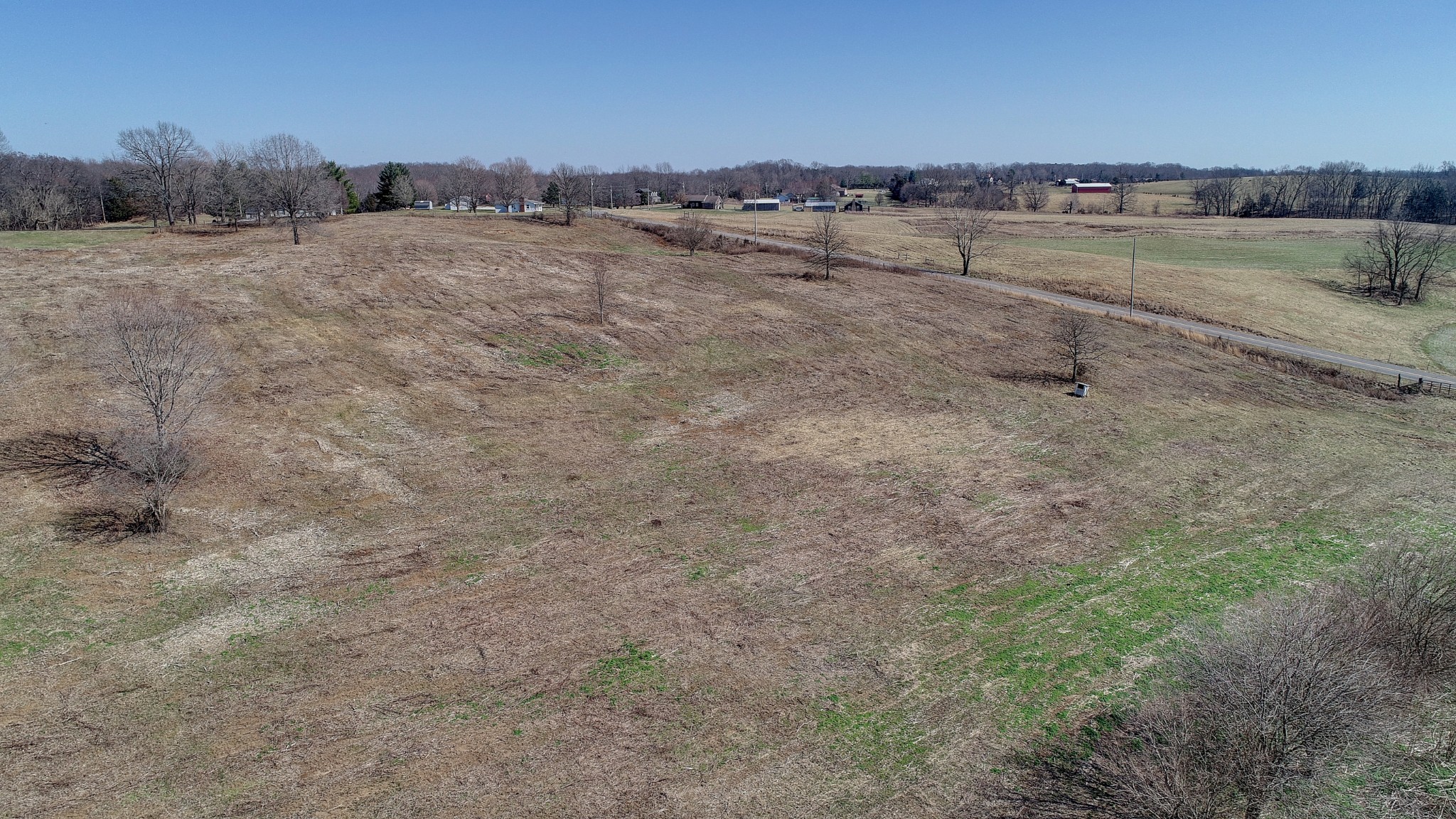799 Coker Ford Road Portland, TN 37148 - Photo 3 of 10 a view of a dry yard with trees