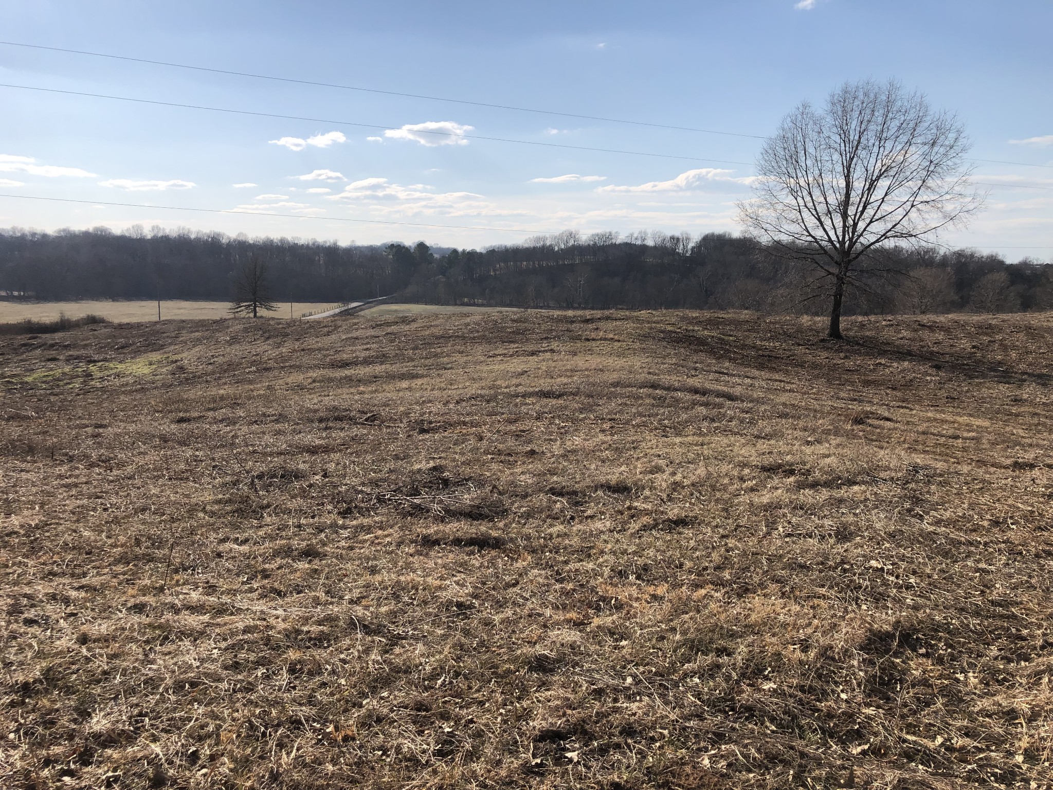 799 Coker Ford Road Portland, TN 37148 - Photo 6 of 10 a view of lake view and mountain