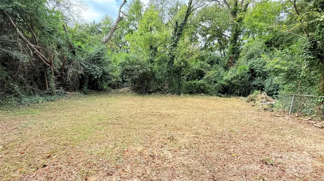 a view of a yard with a tree