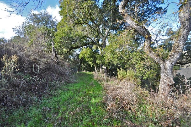 0 Mt Eden Road Saratoga, CA 95070 - Photo 16 of 27