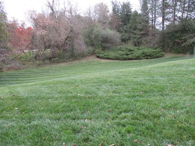 5151 North Luce Road Alma, MI 48801 - Photo 5 of 20 1840368-4.JPG