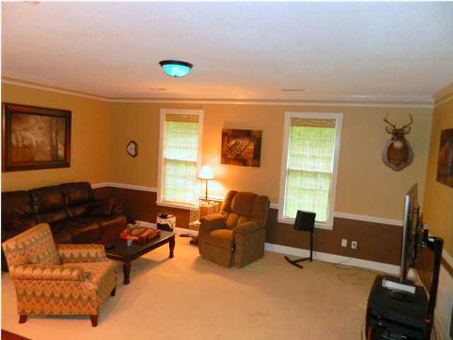 1119 Raven Cliff Road Graysville, TN 37338 - Photo 21 of 25 Additional Photo