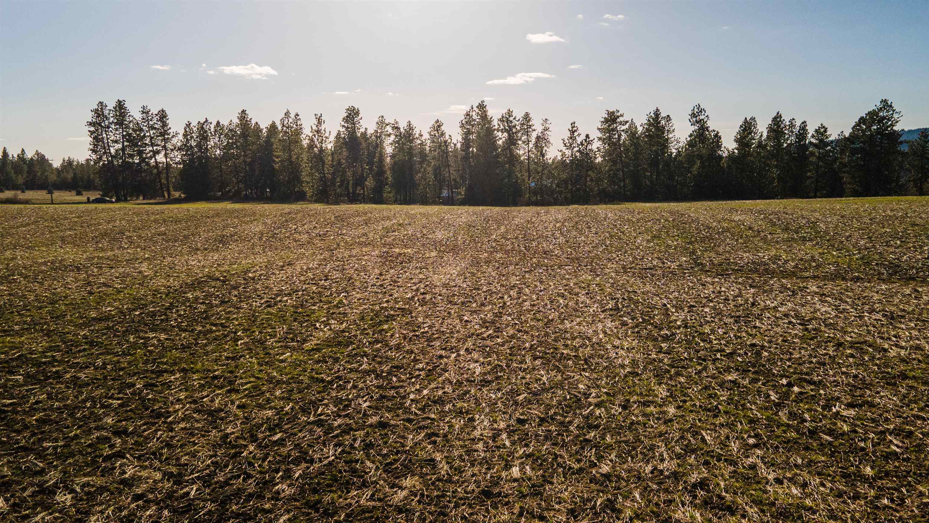 13109 East Gibbs Road Mica, WA 99023 - Photo 12 of 28 Gallery Image 12