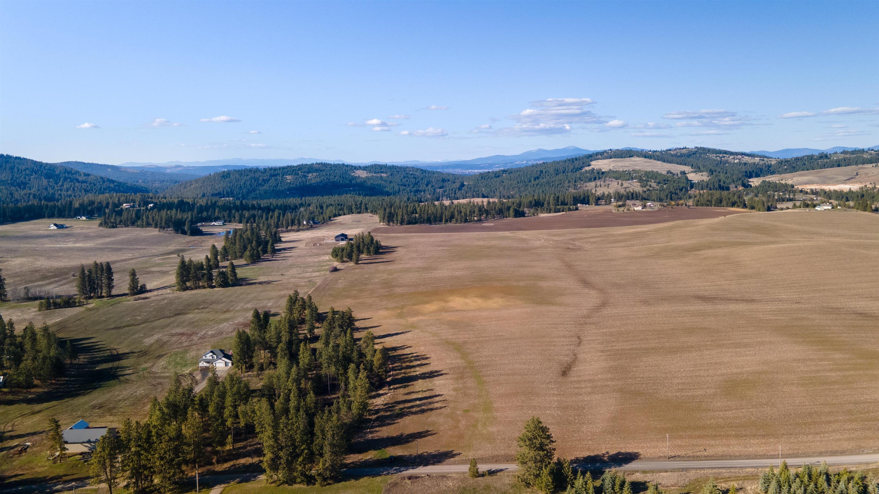 13109 East Gibbs Road Mica, WA 99023 - Photo 13 of 28 Gallery Image 13