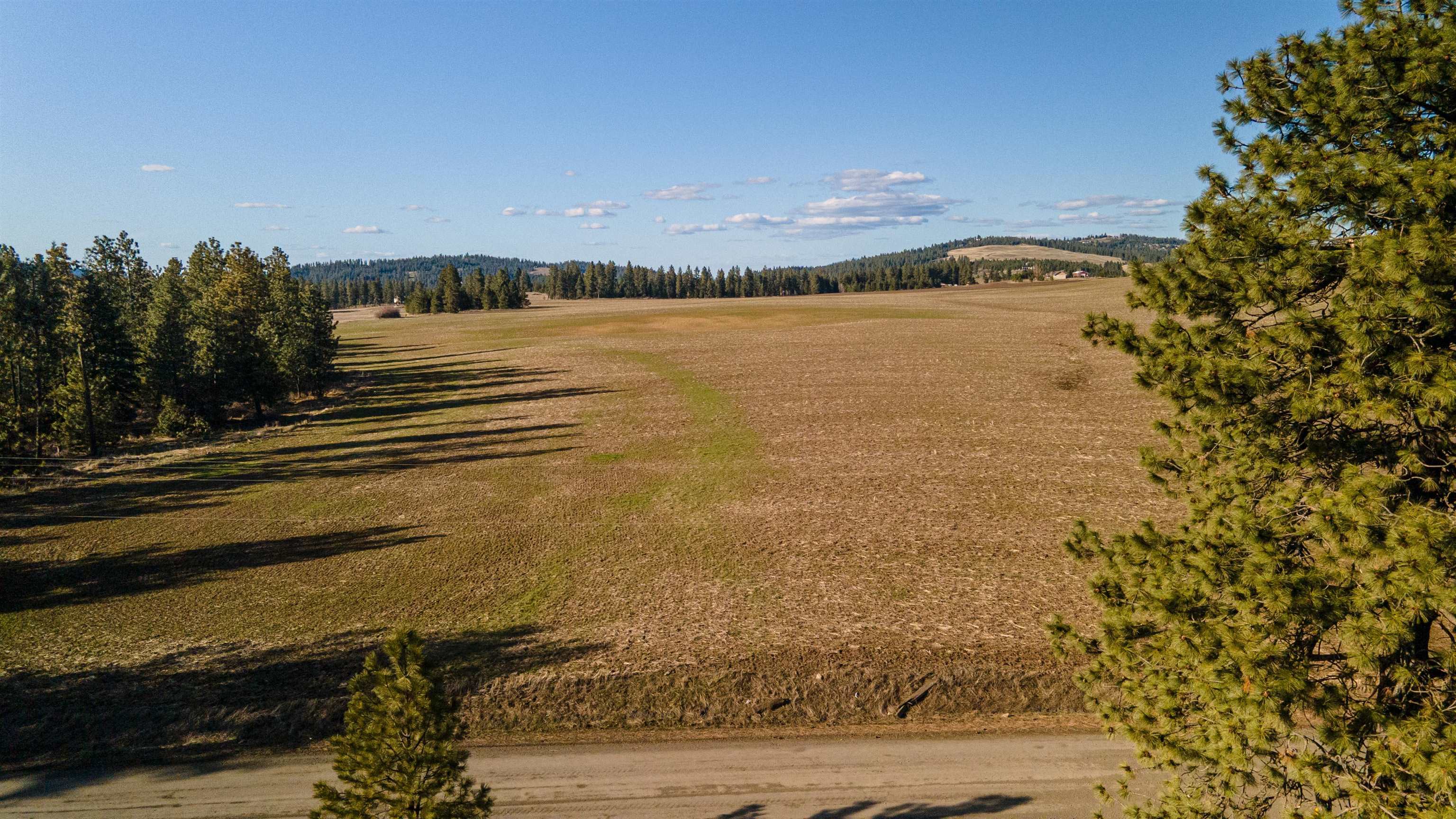 13109 East Gibbs Road Mica, WA 99023 - Photo 19 of 28 Gallery Image 19