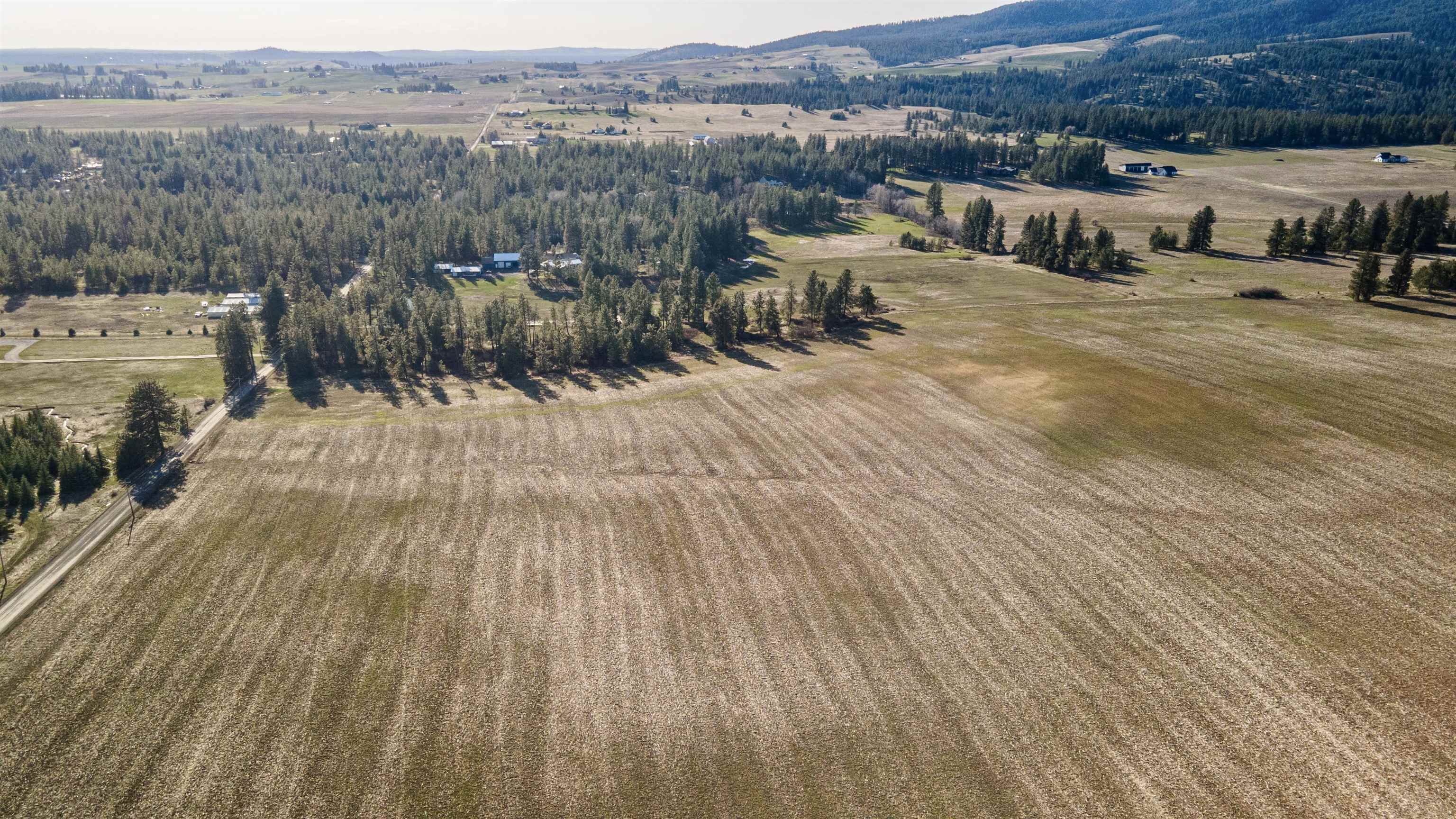 13109 East Gibbs Road Mica, WA 99023 - Photo 21 of 28 Gallery Image 21