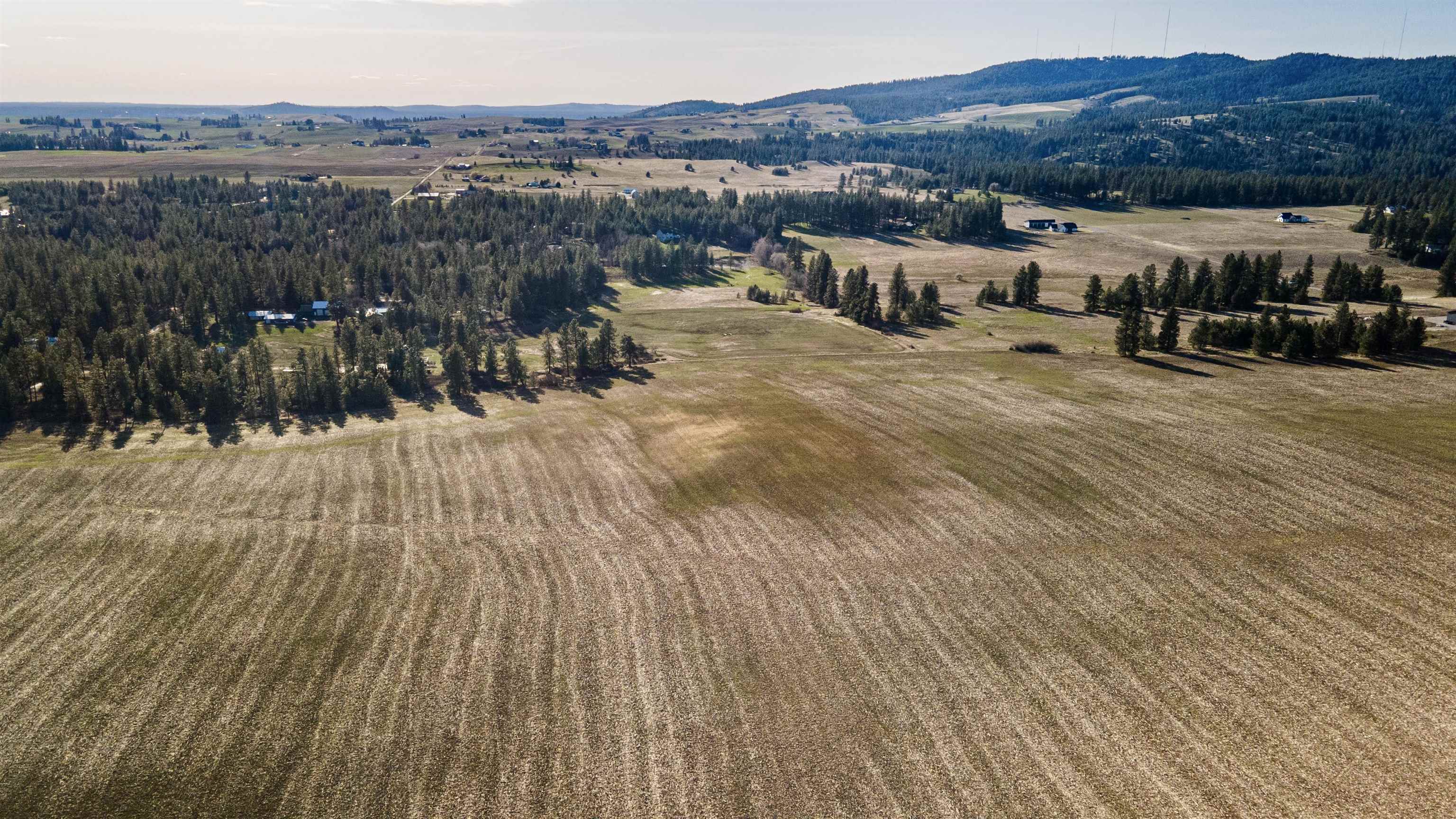 13109 East Gibbs Road Mica, WA 99023 - Photo 22 of 28 Gallery Image 22