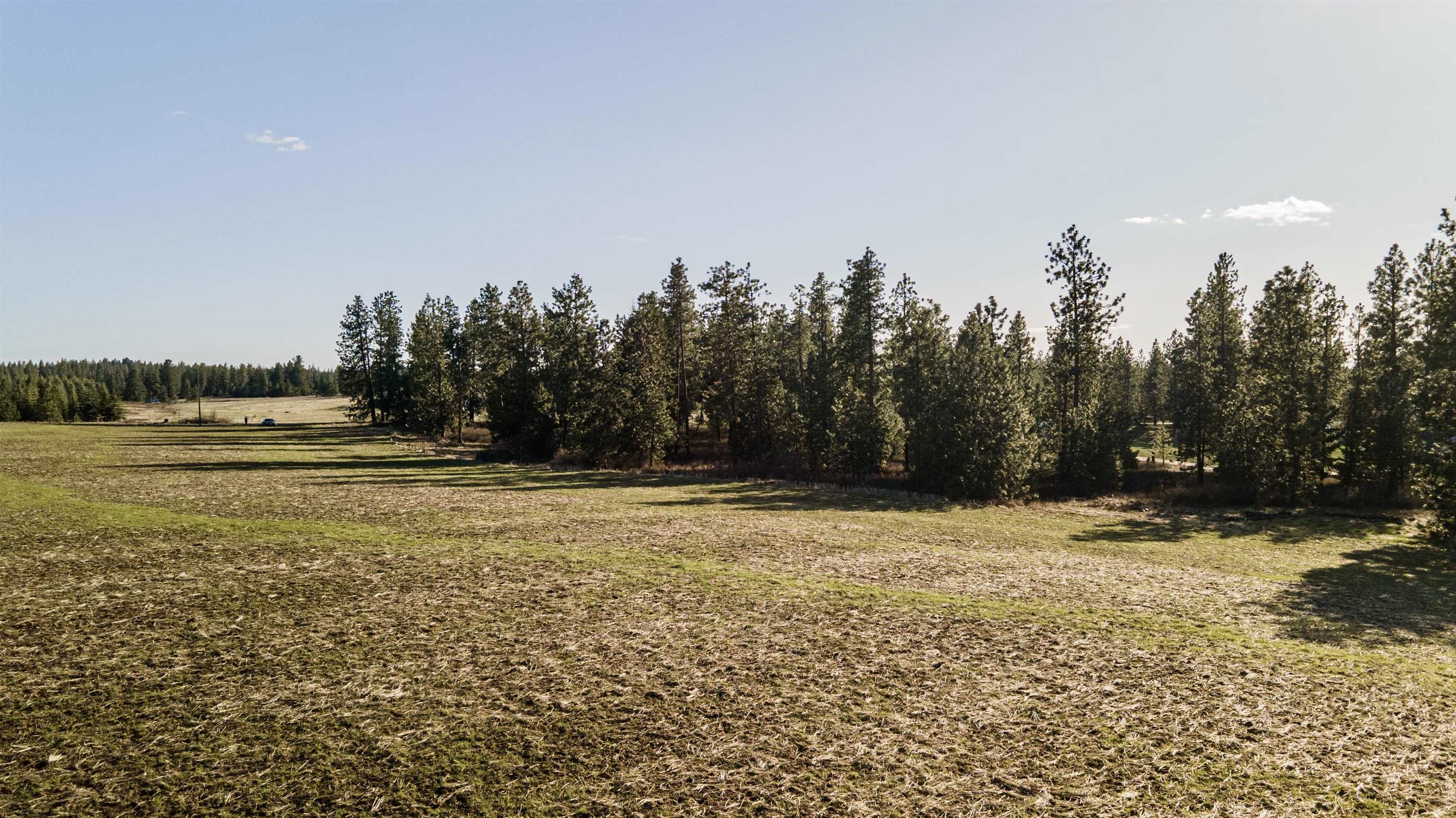 13109 East Gibbs Road Mica, WA 99023 - Photo 24 of 28 Gallery Image 24