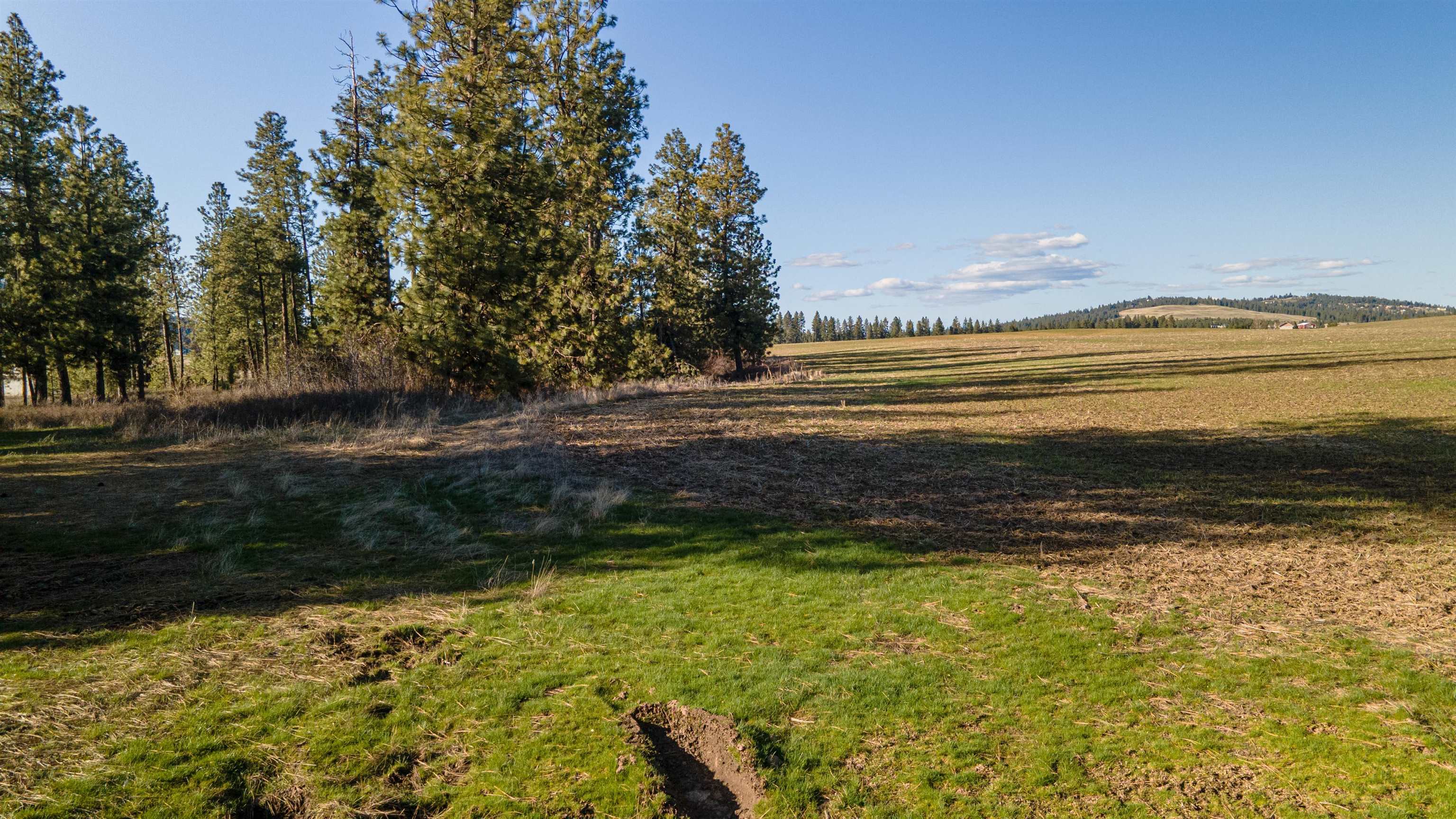 13109 East Gibbs Road Mica, WA 99023 - Photo 26 of 28 Gallery Image 26