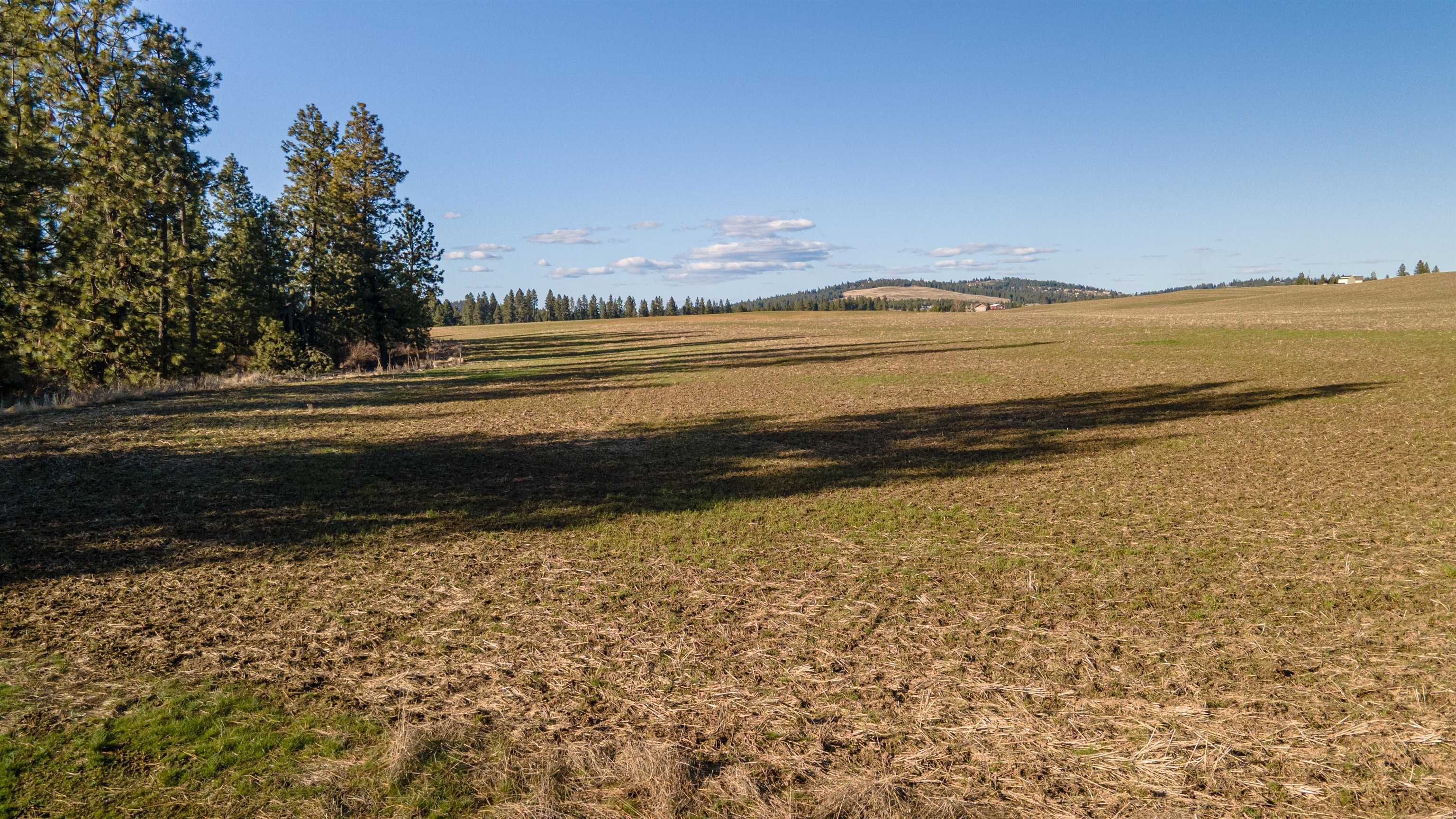 13109 East Gibbs Road Mica, WA 99023 - Photo 28 of 28 Gallery Image 28