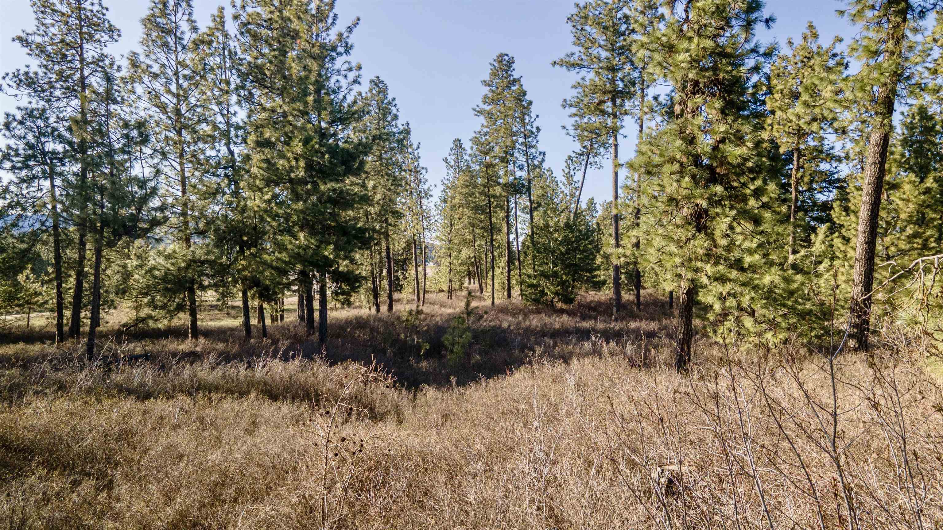 13109 East Gibbs Road Mica, WA 99023 - Photo 8 of 28 Gallery Image 8