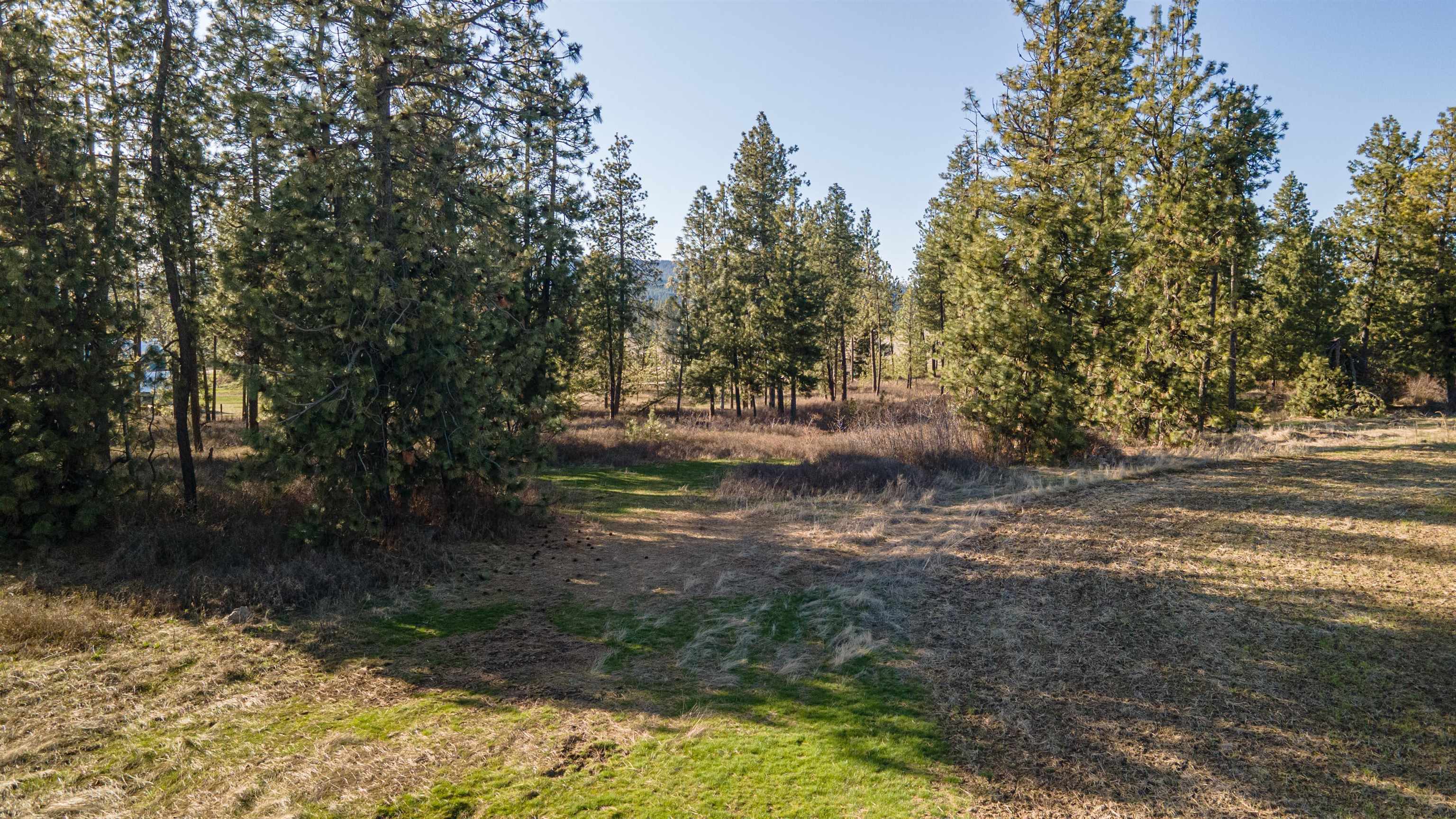 13109 East Gibbs Road Mica, WA 99023 - Photo 9 of 28 Gallery Image 9