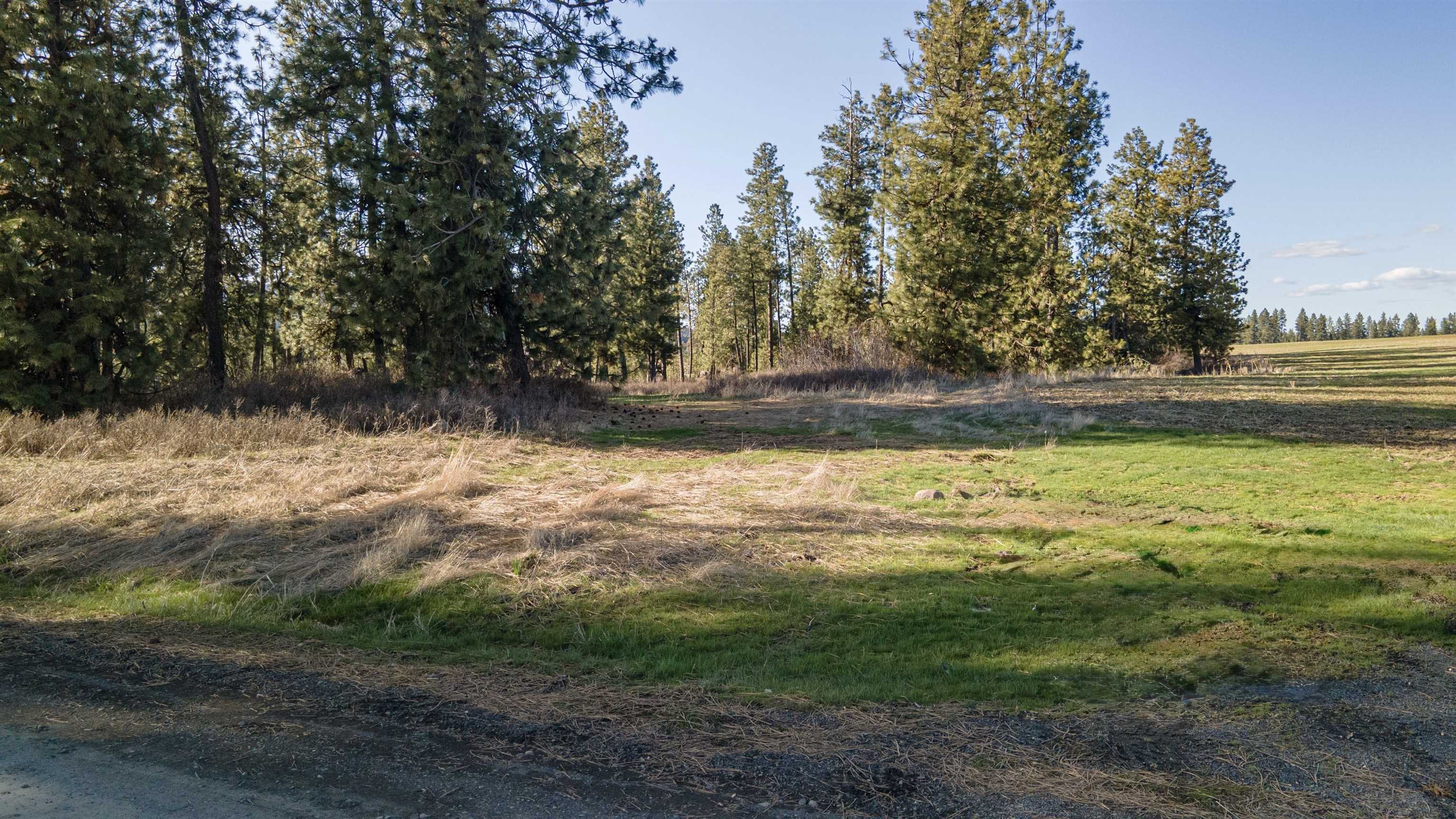 13109 East Gibbs Road Mica, WA 99023 - Photo 10 of 28 Gallery Image 10