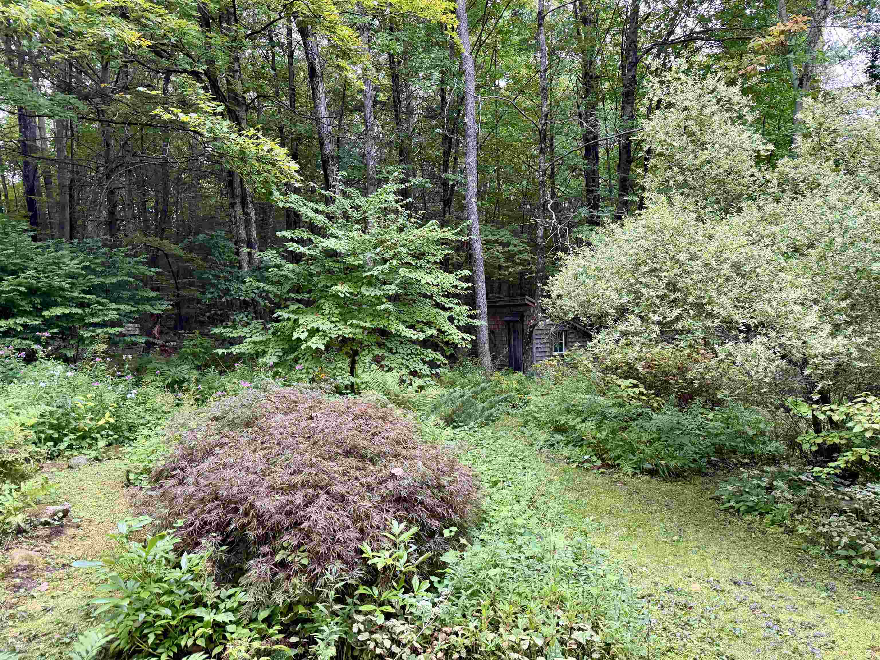 159 Joslin Road Surry, NH 03608 - Photo 29 of 38 Gallery Image 29