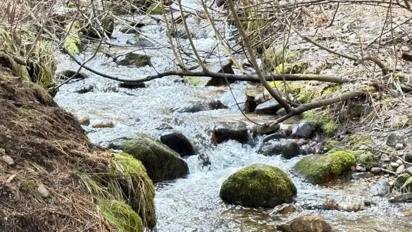 $679,000 | 17 Stony Brook Lane, Garden Valley, ID 83622