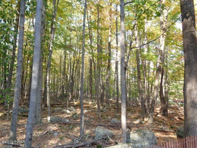 195 Fawn Road Lake Ariel, PA 18436 - Photo 8 of 37