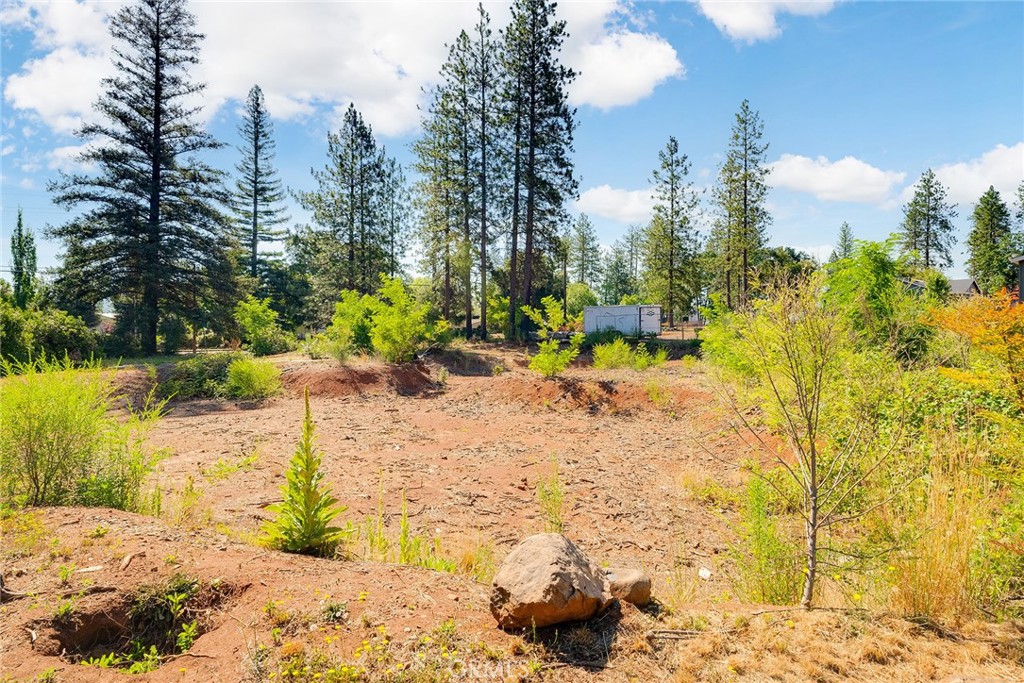 6009 Pentz Road Paradise, CA 95969 - Photo 12 of 23