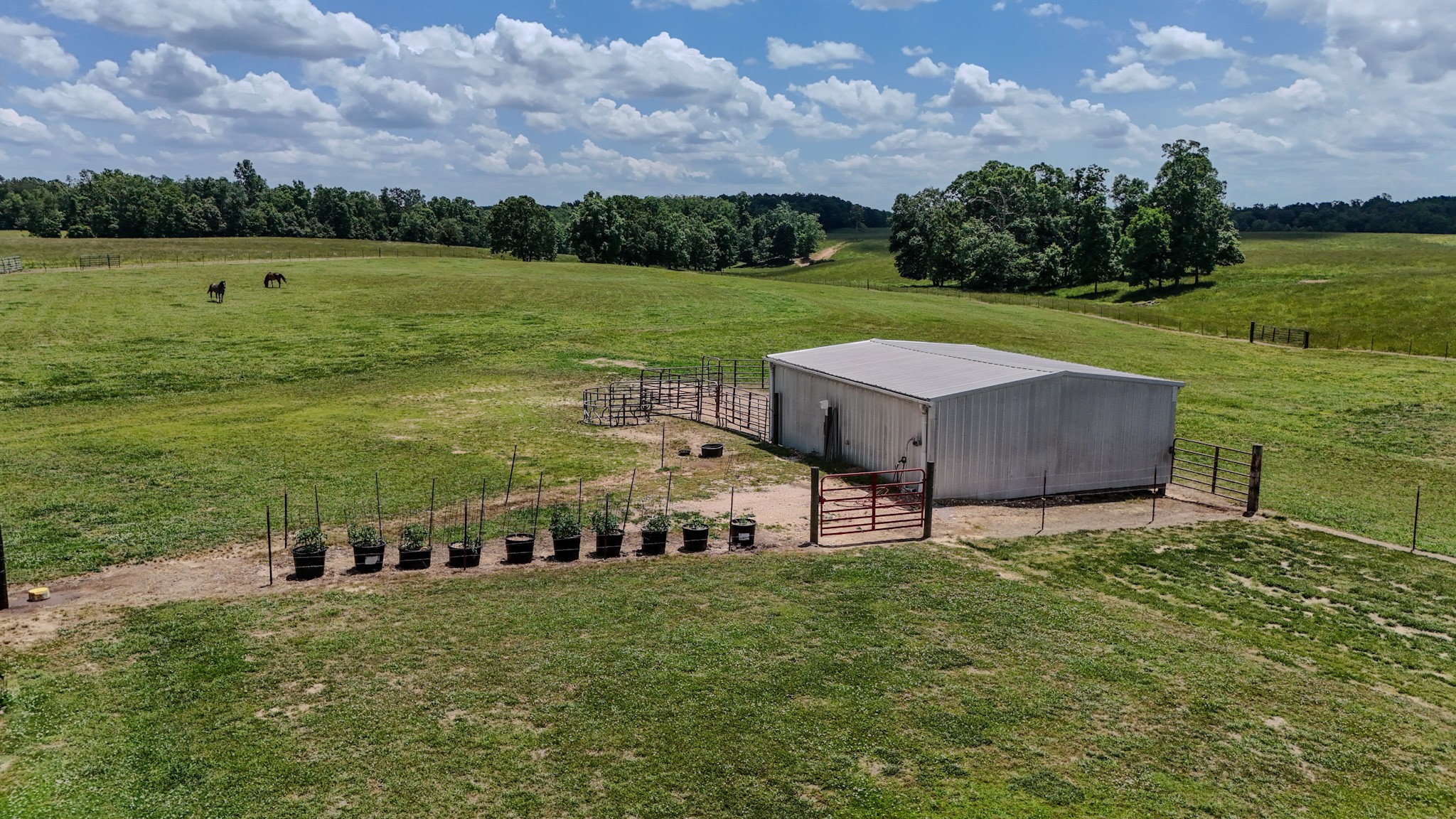 1198 David Patterson Road Lutts, TN 38471 - Photo 40 of 82