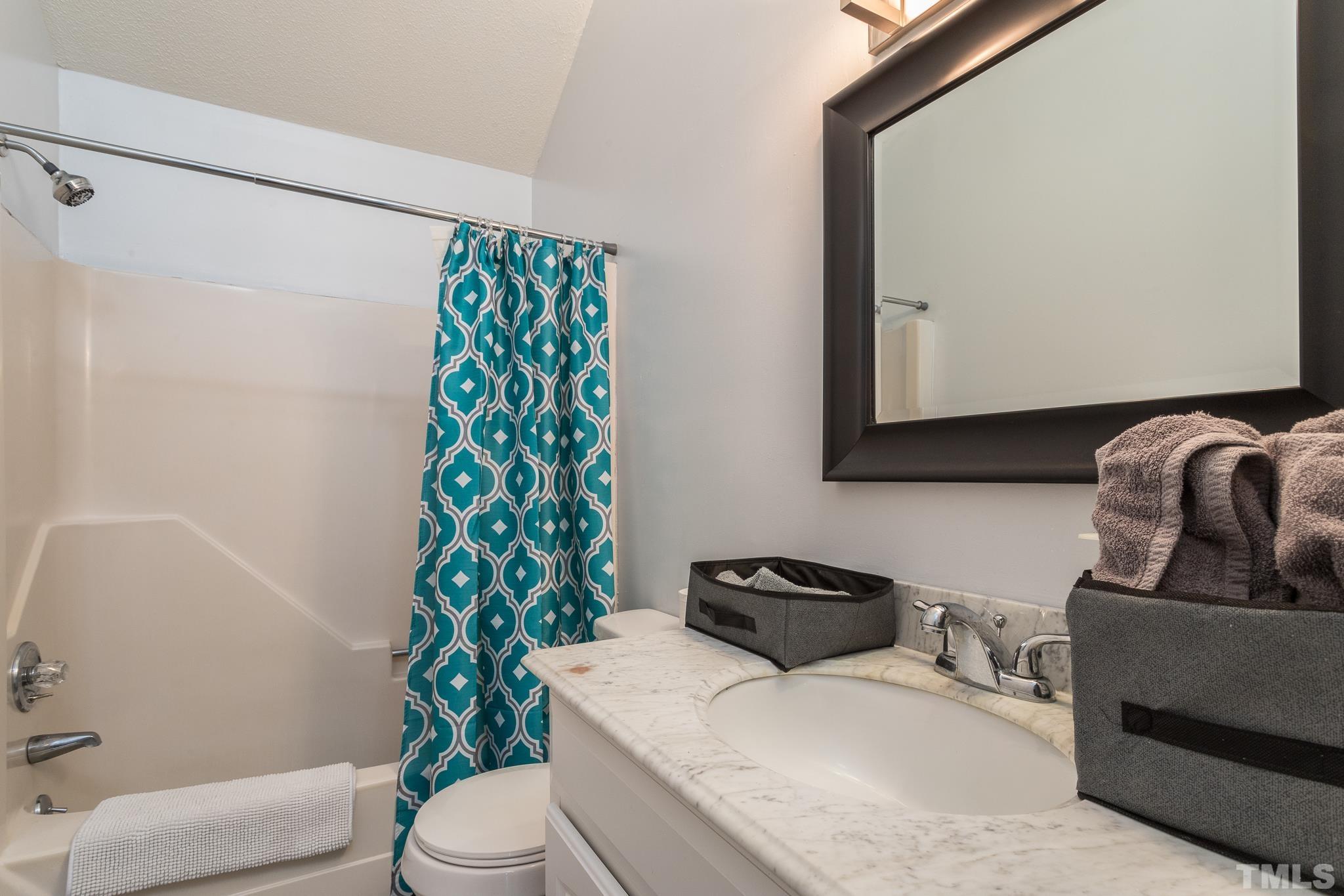 372 Cedar Lake Road Chapel Hill, NC 27516 - Photo 24 of 42 a bathroom with a sink a toilet and a mirror