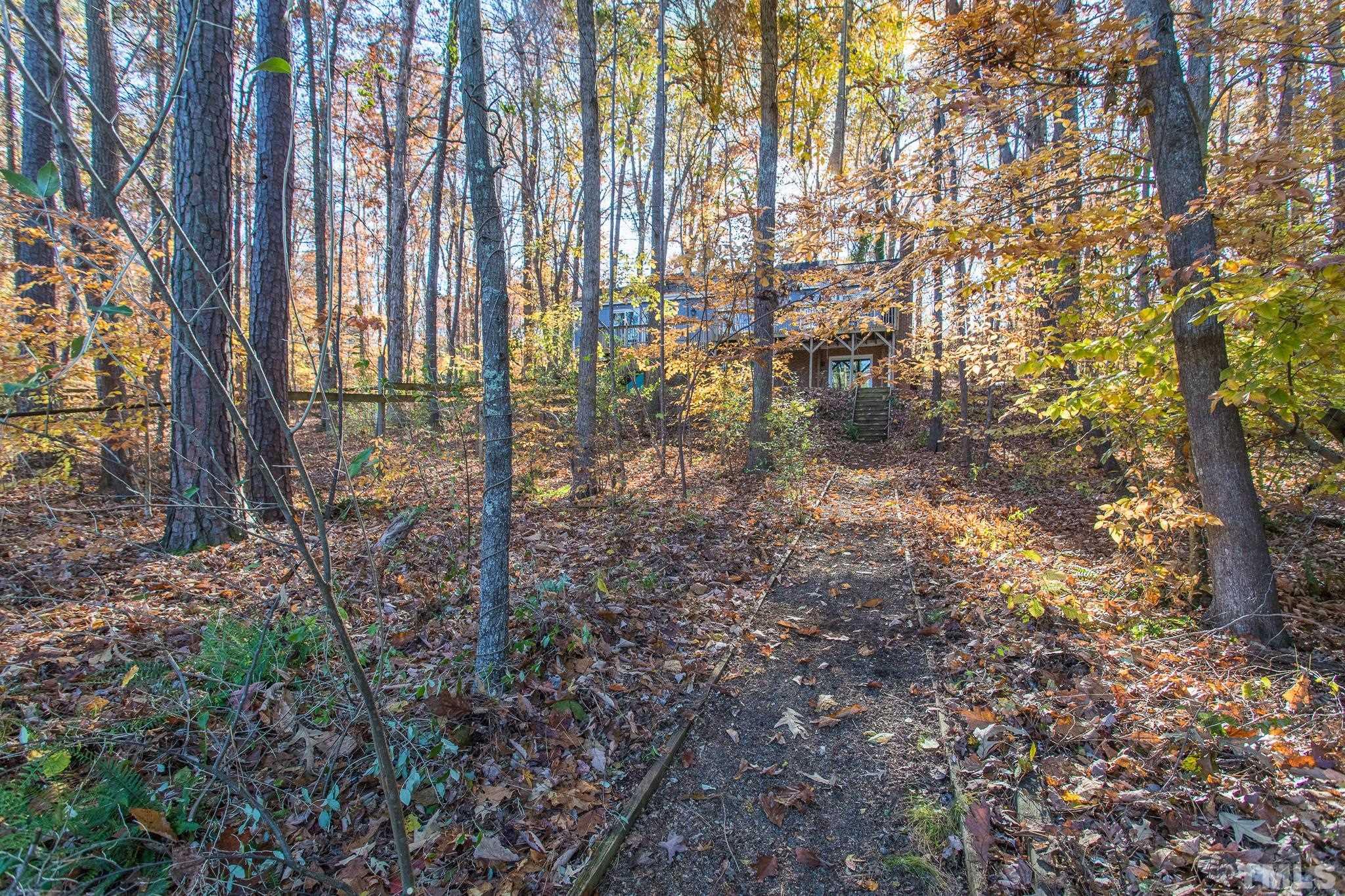 372 Cedar Lake Road Chapel Hill, NC 27516 - Photo 5 of 42 a view of a yard with plants and trees