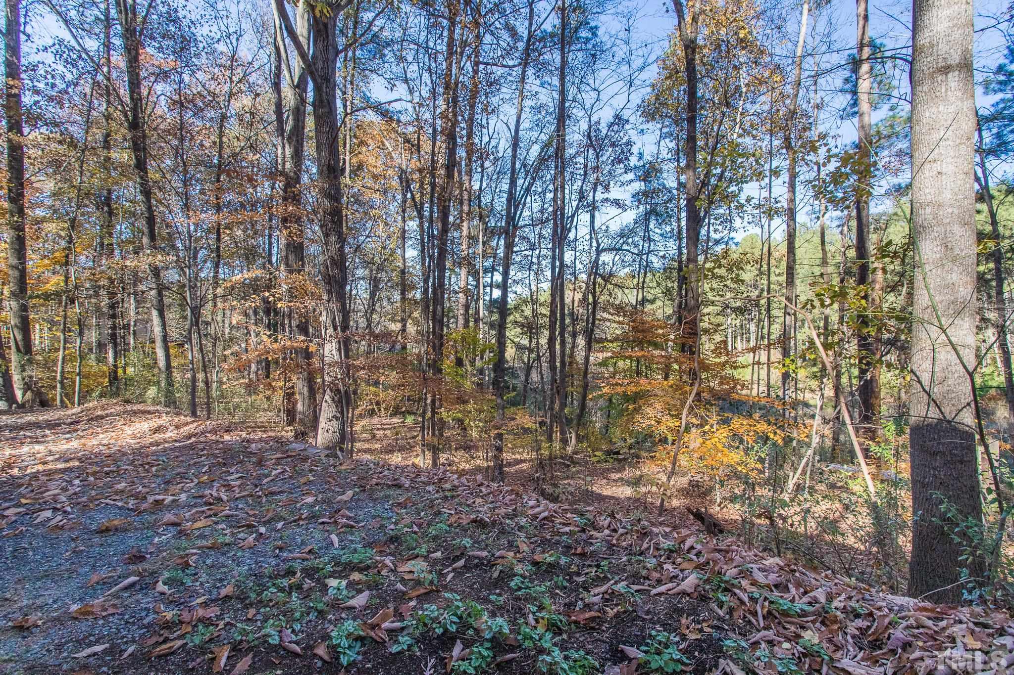 372 Cedar Lake Road Chapel Hill, NC 27516 - Photo 7 of 42 a view of backyard of a house