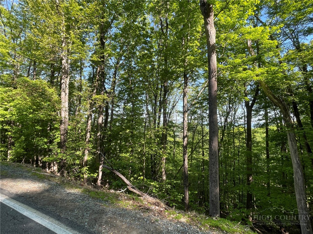 926 Pine Ridge Road Beech Mountain, NC 28604 - Photo 8 of 12