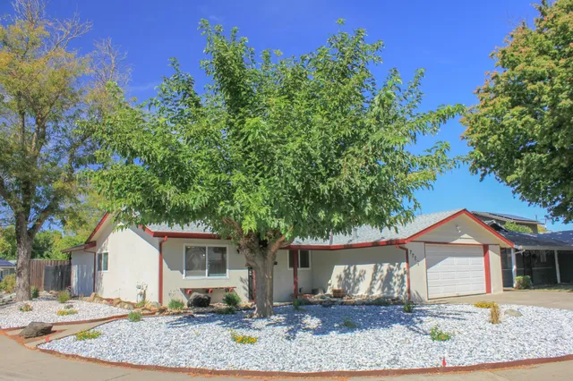 front view of a house with a tree