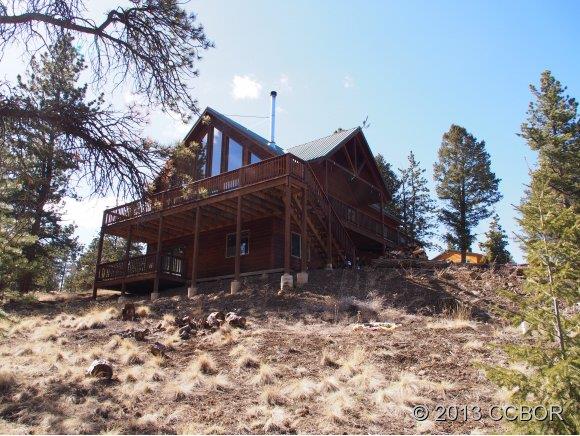 1176 Campfire Road Hartsel, CO 80449 - Photo 1 of 1 a view of a house with a yard