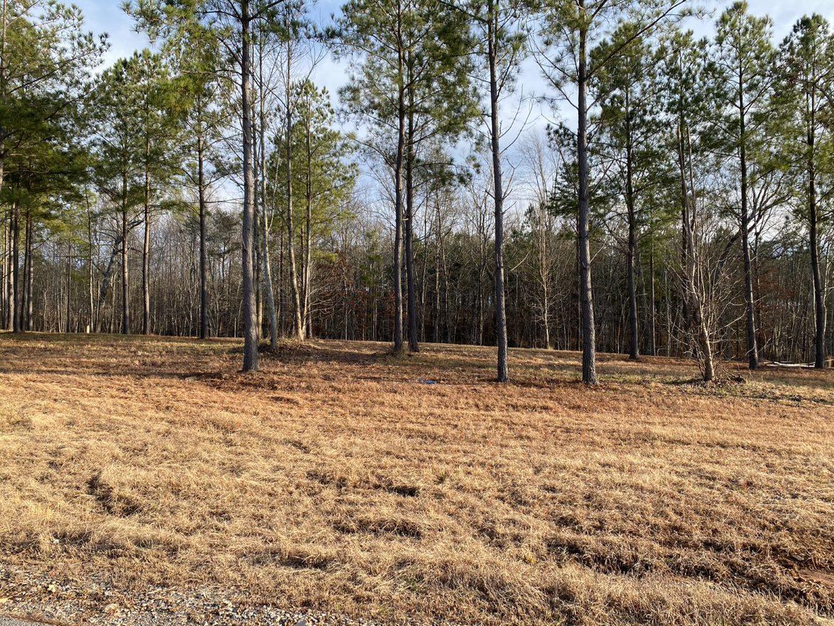 0 Pappy Road, Unit LOT 208 Jasper, TN 37347 - Photo 2 of 14 208 2